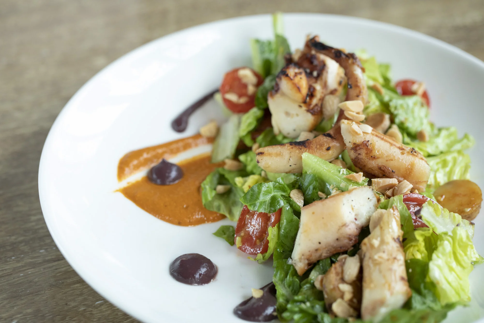 Salad_Octo_e3_089_N5A5438 (1).jpg