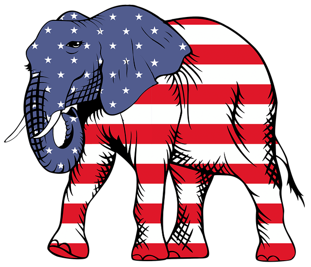 elephant-964294_640.png