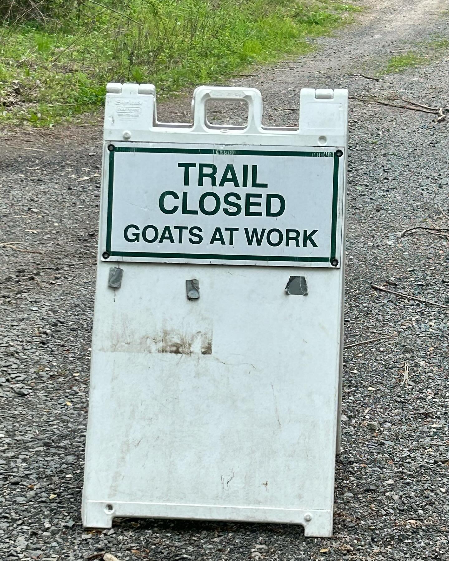 My morning zoom cancelled and awaiting funds on a project before I work. So took myself for early morning hike and ran into this. Essential question &hellip;. Are they union or nonunion? 😅😂 #fridayfunny #weekendvibes #hiking @rockefellerstatepark #