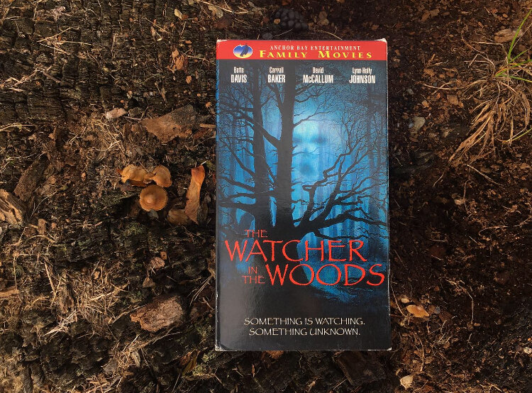 Watch THE WATCHER IN THE WOODS