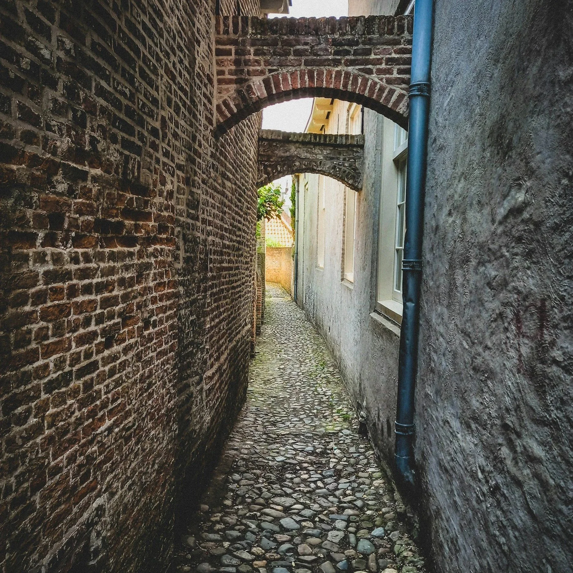 THE NARROW WAY