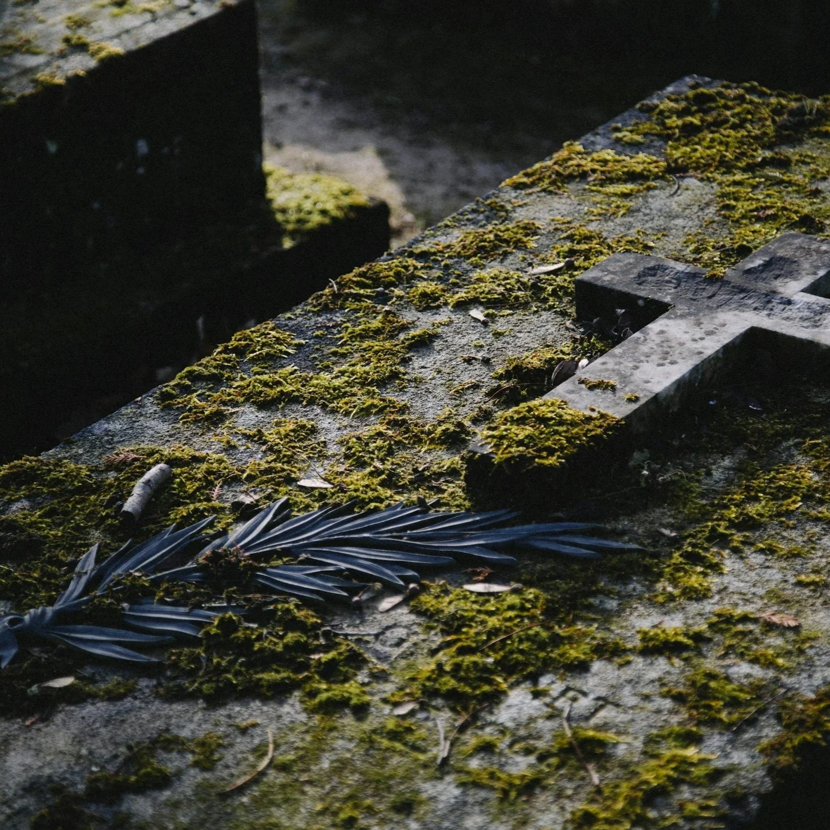 Life or Death