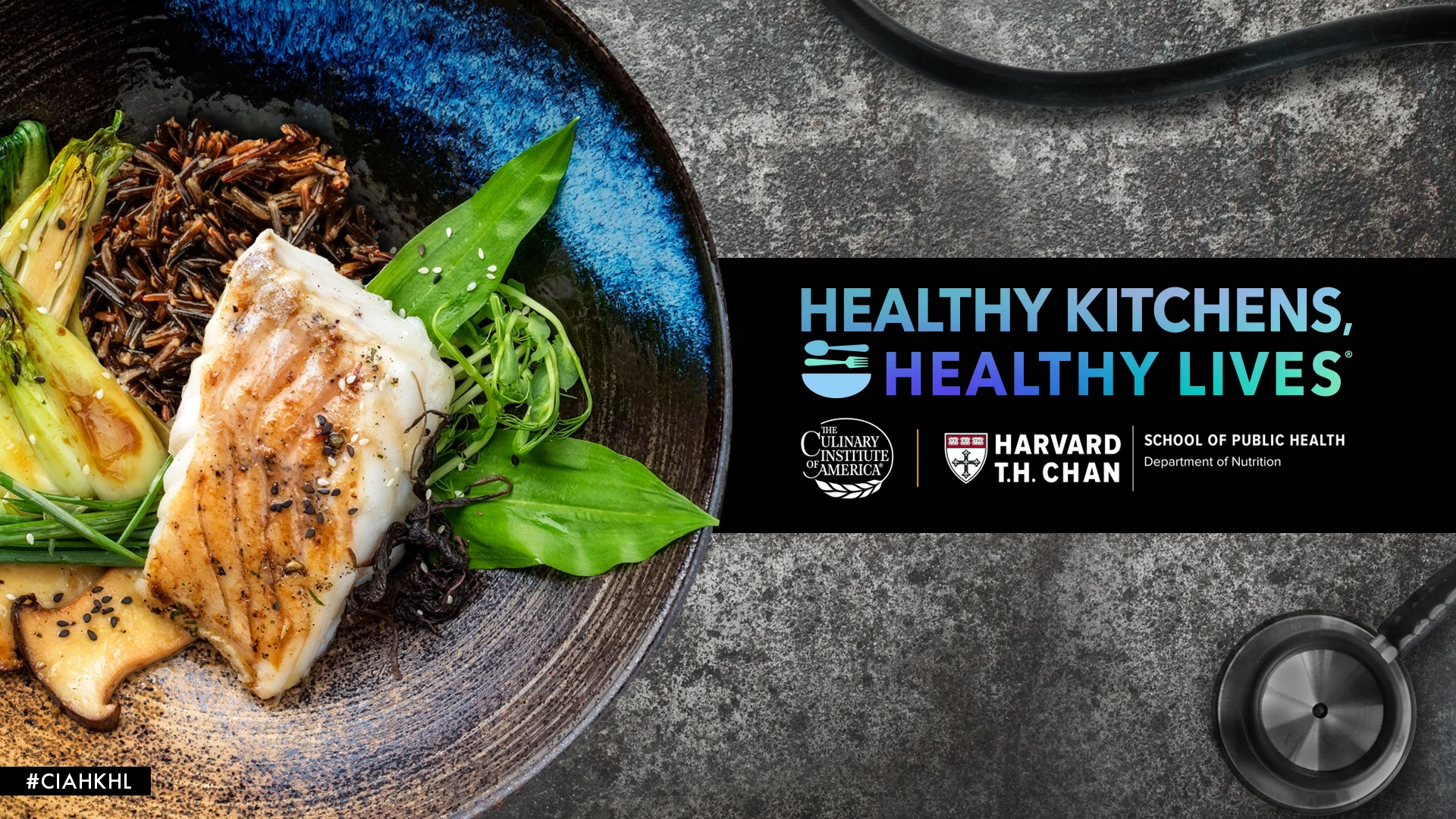 Overview — Healthy Kitchens, Healthy Lives