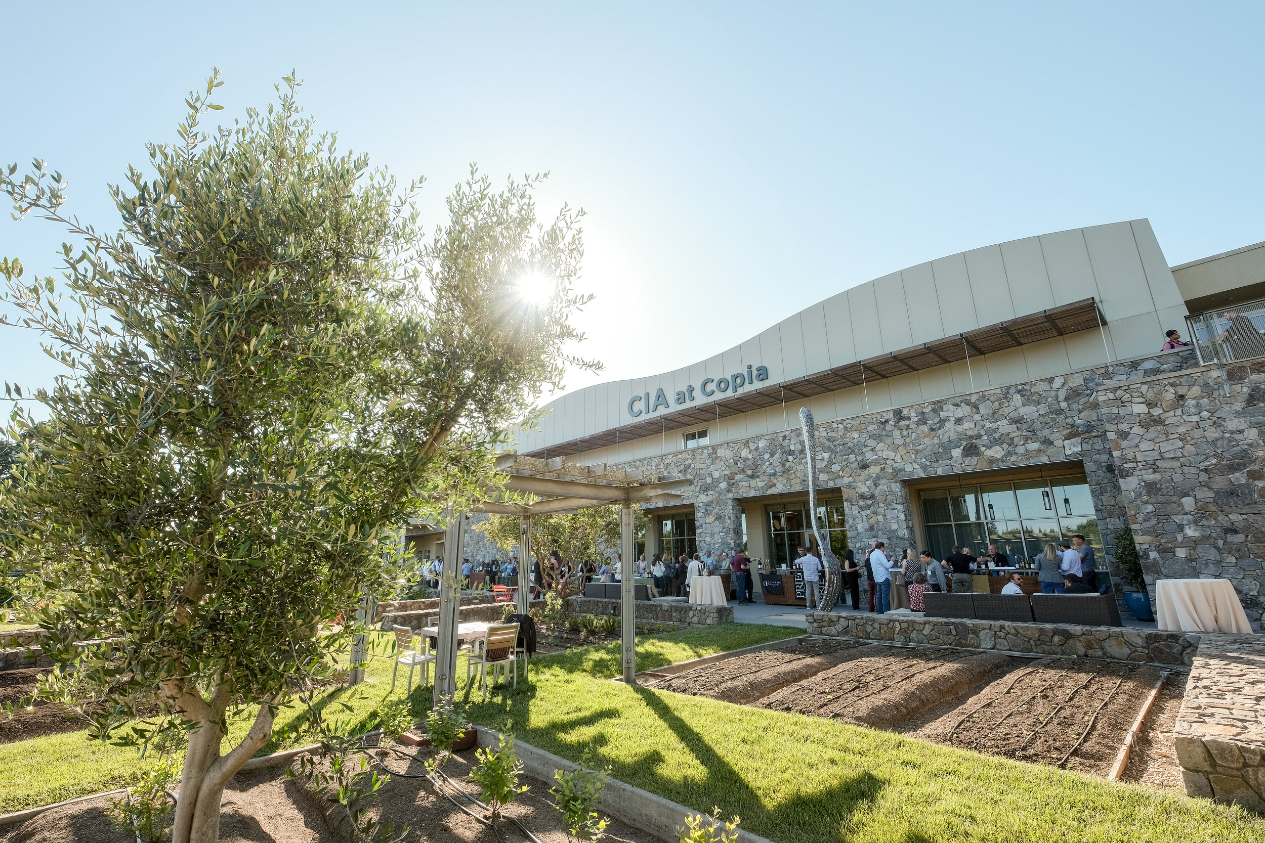 The edible gardens at The Culinary Institute of America at Copia