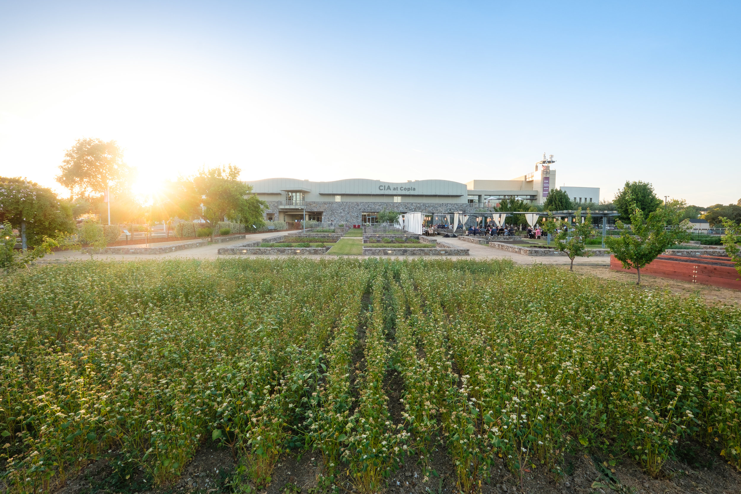 The edible gardens at The Culinary Institute of America at Copia