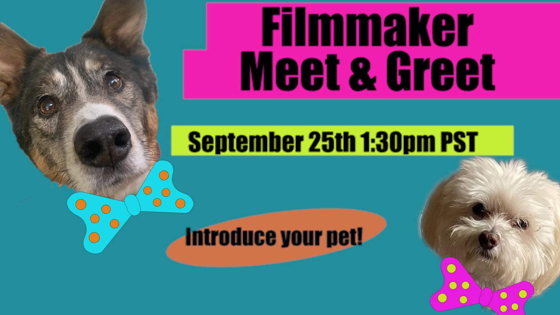 Introduce Your Pet Filmmaker Meet &amp; Greet