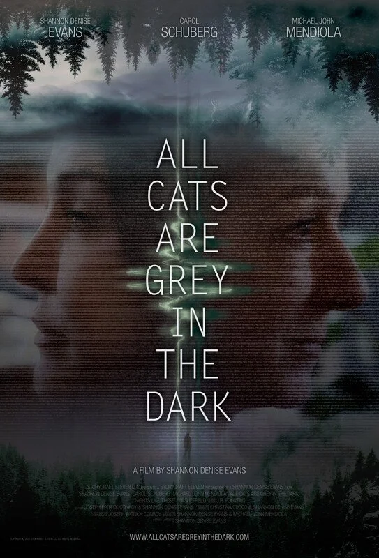 all cats are grey.jpg