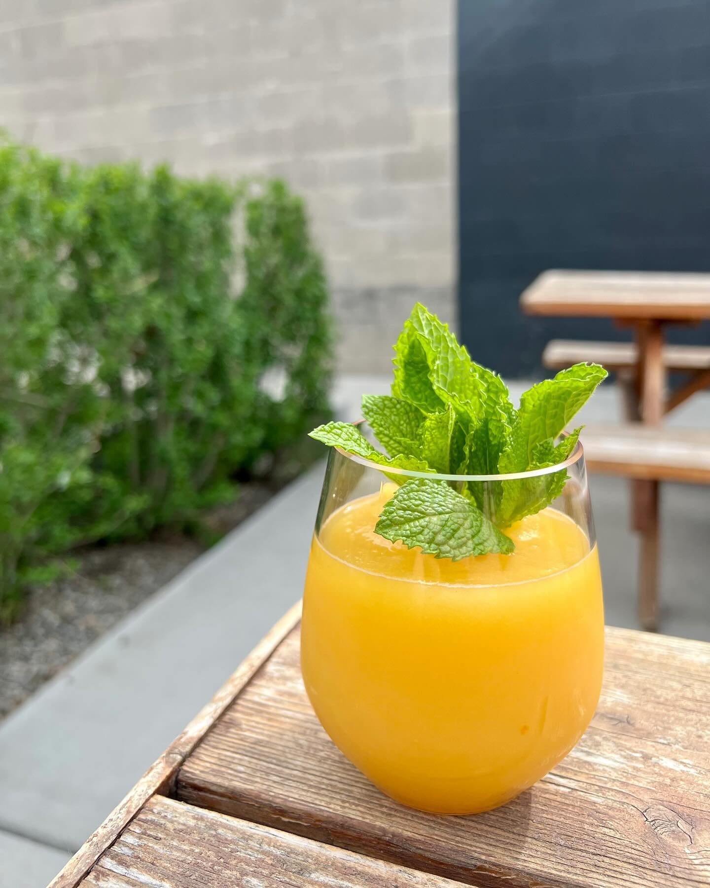 We have a new fantastic frozen flavor for you freaks! It&rsquo;s the Peach Smash! Espolon Blanco, Peach, Tangerine, Mint, Lemon and all for the great price of $12! Come try one this weekend before they run out!  #denverdrinks #denverhappyhour #denver