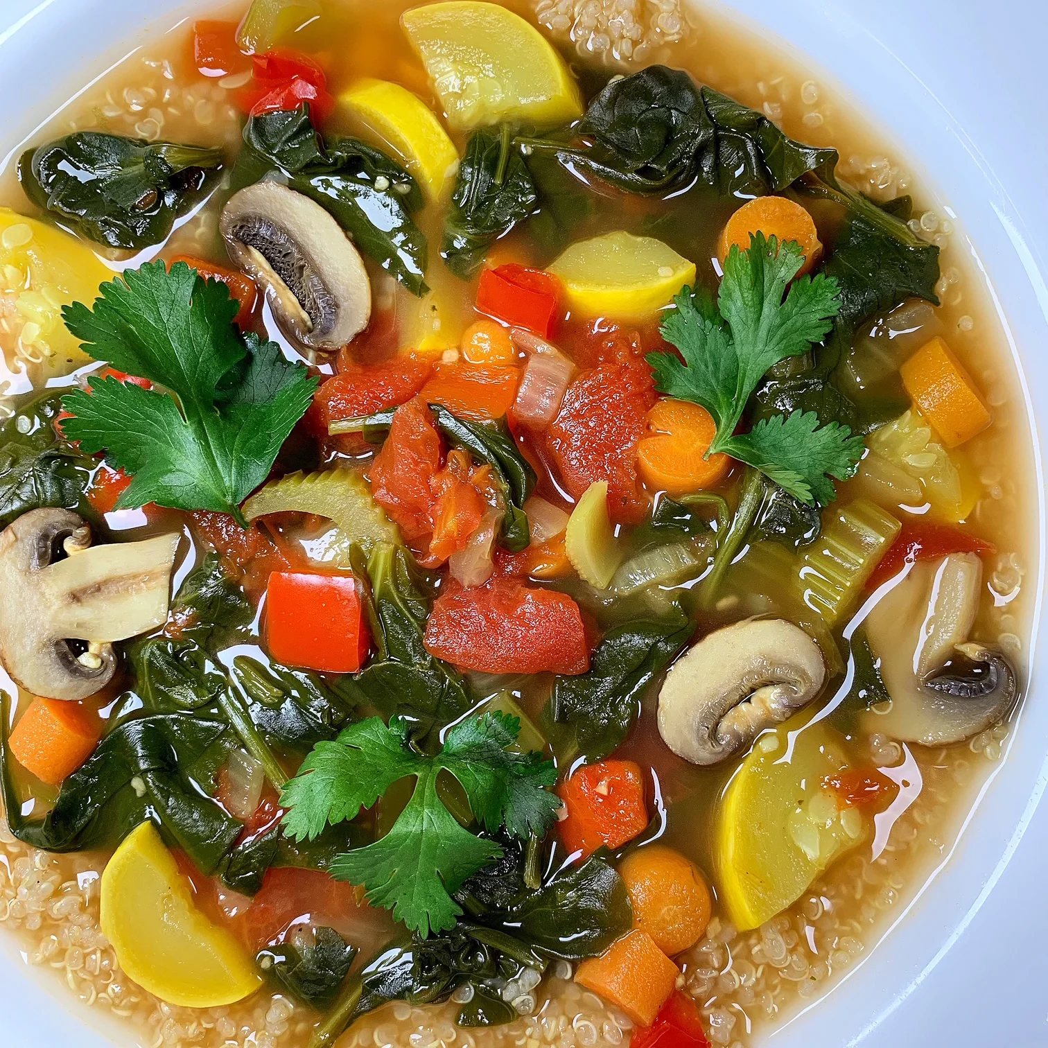 Quinoa &amp; Vegetable Bone Broth Soup