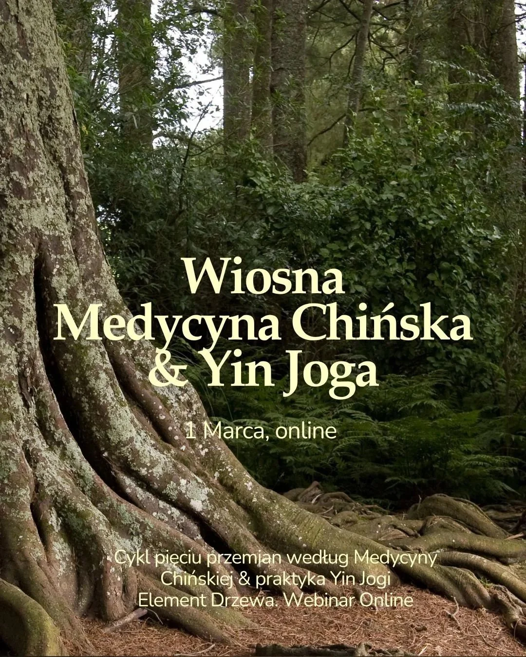 WIOSNA W TRADYCYJNEJ MEDYCYNIE CHIŃSKIEJ &amp; YIN JOGA | ELEMENT DRZEWA