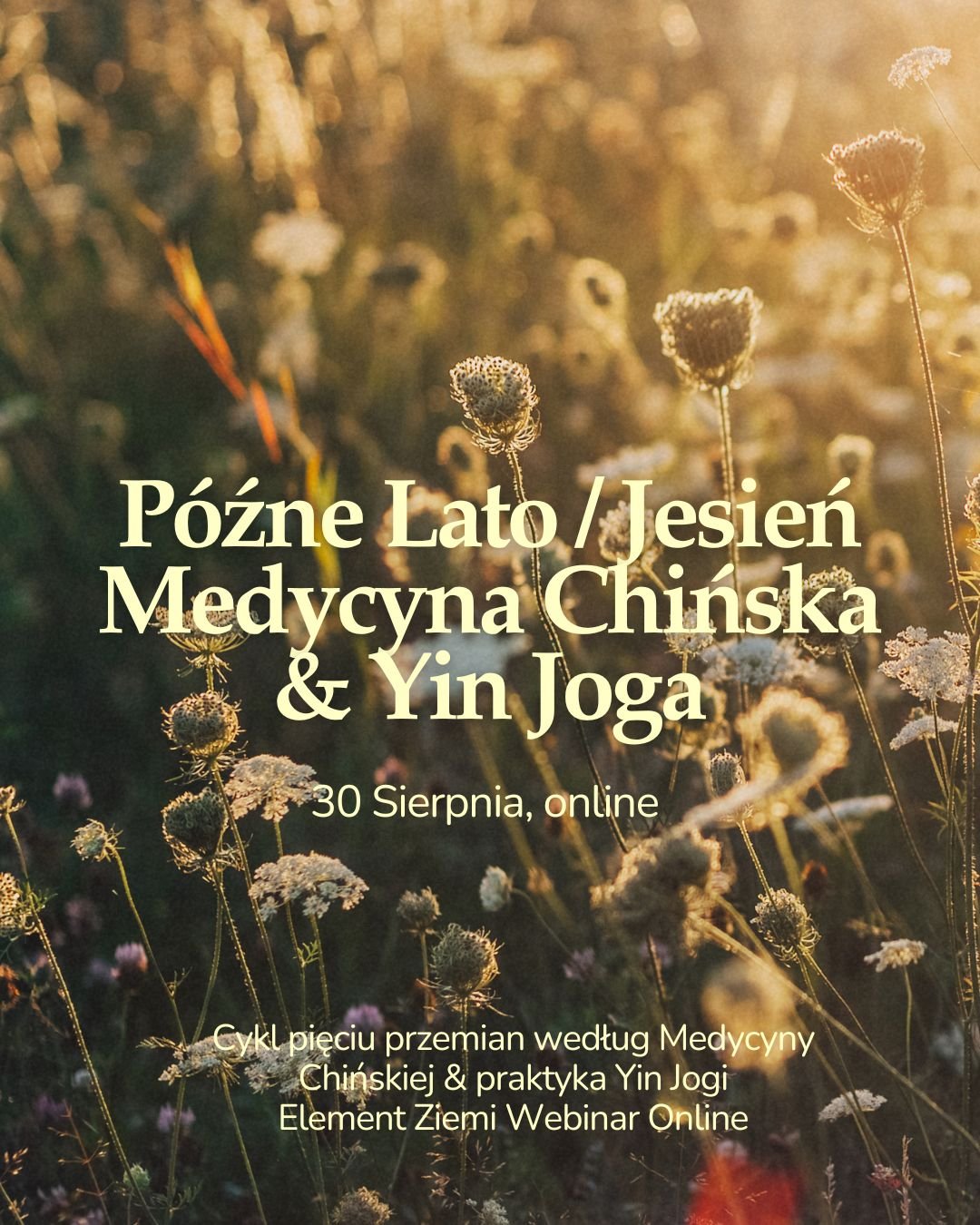 PÓŹNE LATO &amp; JESIEŃ W TRADYCYJNEJ MEDYCYNIE CHIŃSKIEJ &amp; YIN JOGA | ELEMENT ZIEMI