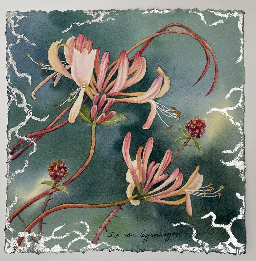 Square painting of two honeysuckle flower sprays and twining tendrils on a dark gren background with a few red blackberries showing, and edged with a pattern of white gold leaf