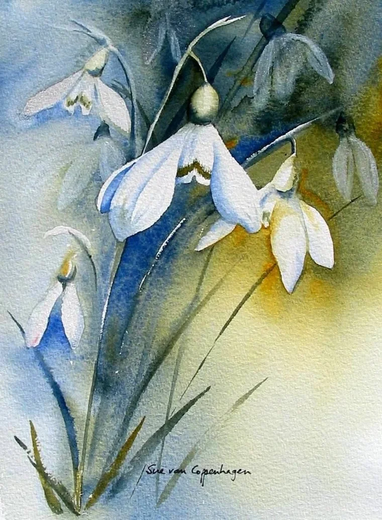 Painting of white snowdrop flowers
