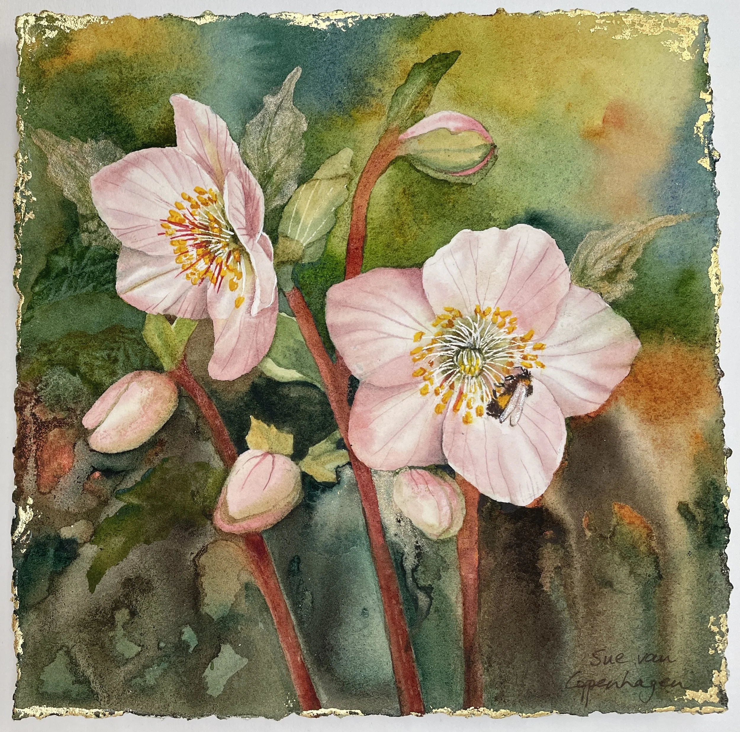 Painting of pale pink hellebore flowers and buds on a rich green and gold background
