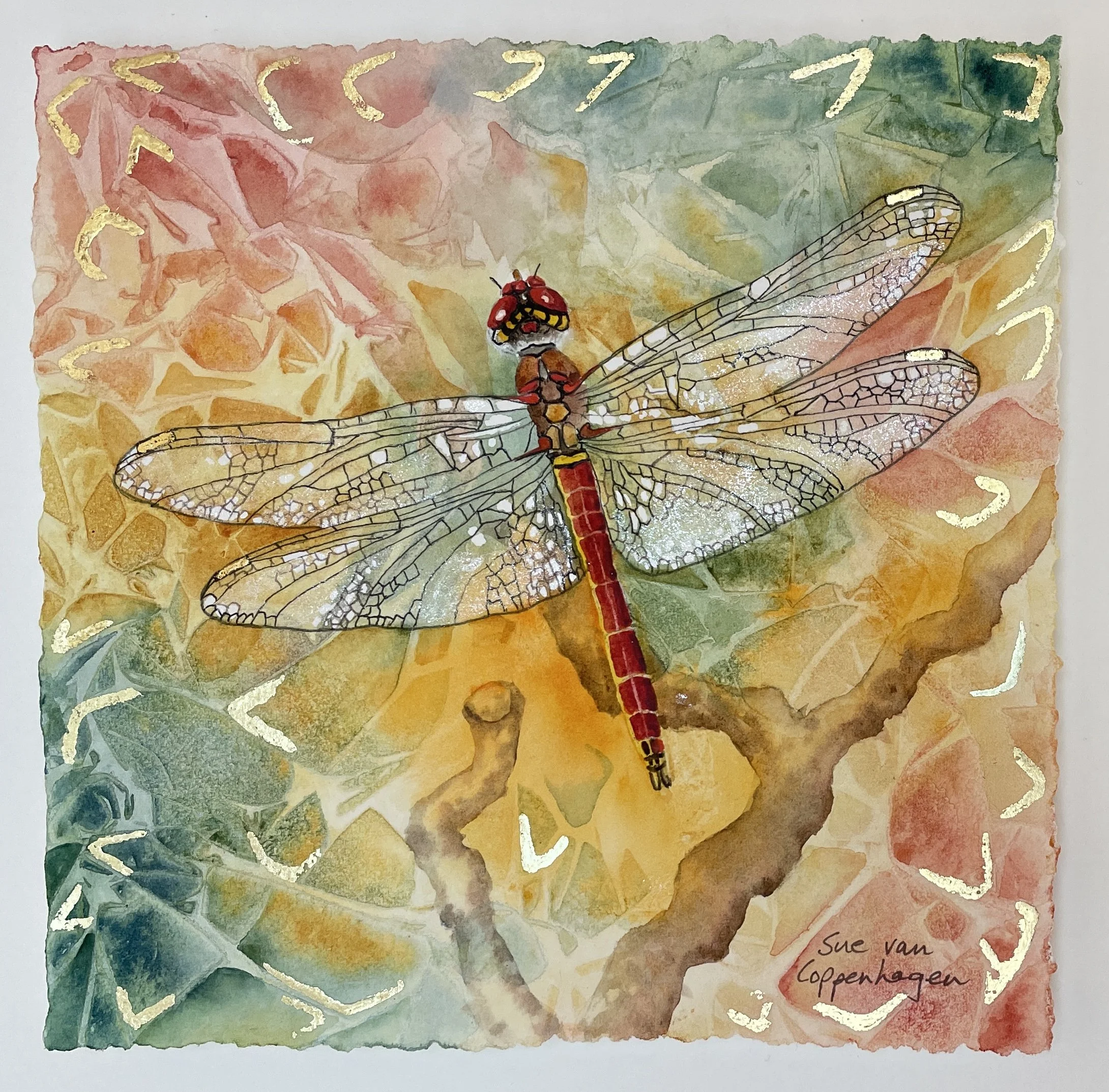 Painting of a red bodied dragonfly with shimmering wings against a background of gold, red and green abstract shapes, picked out with patterns in gold leaf