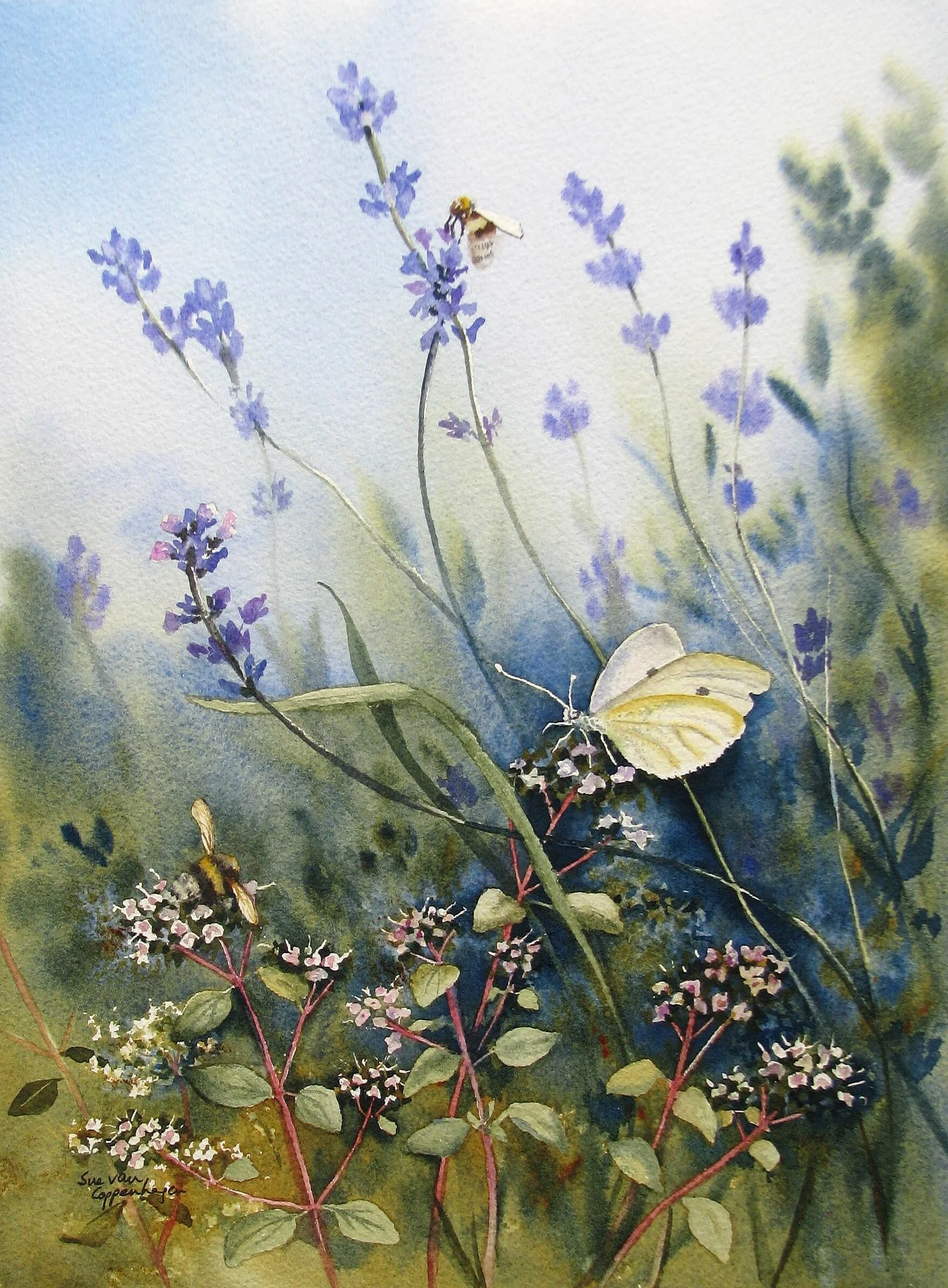 The Fragrant Garden
