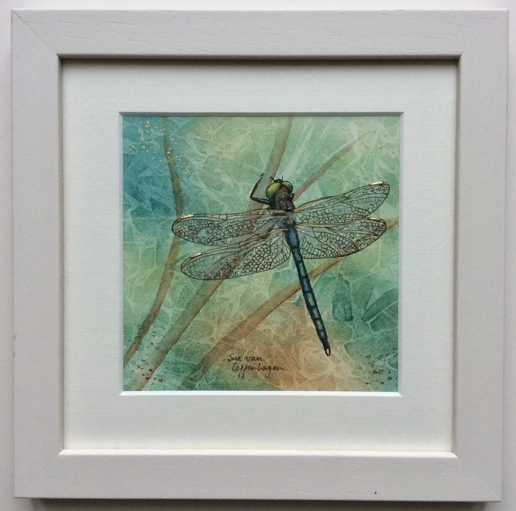 Dragonfly mini