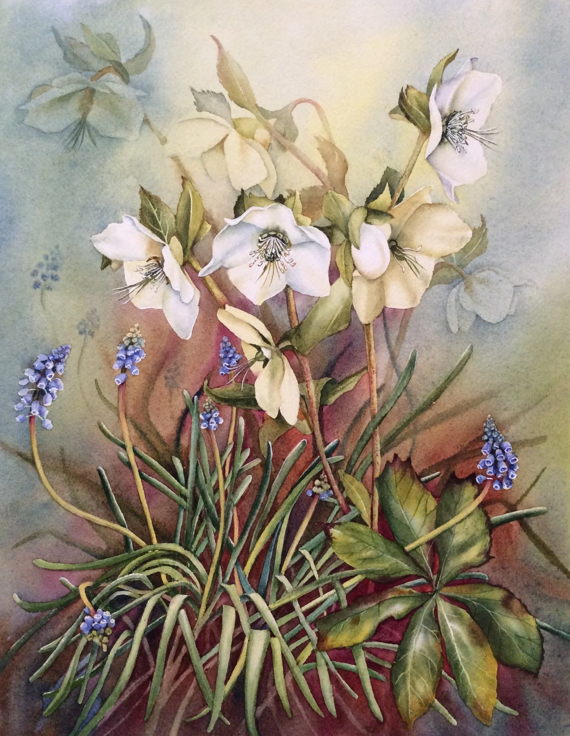 Hellebores and Muscari print