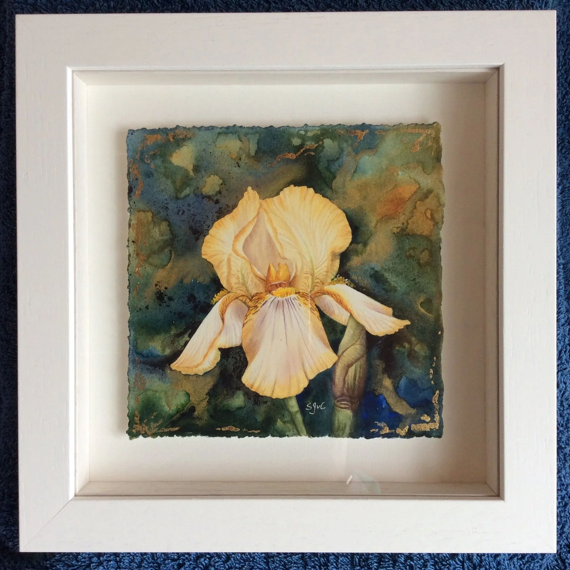 Golden iris painting framed