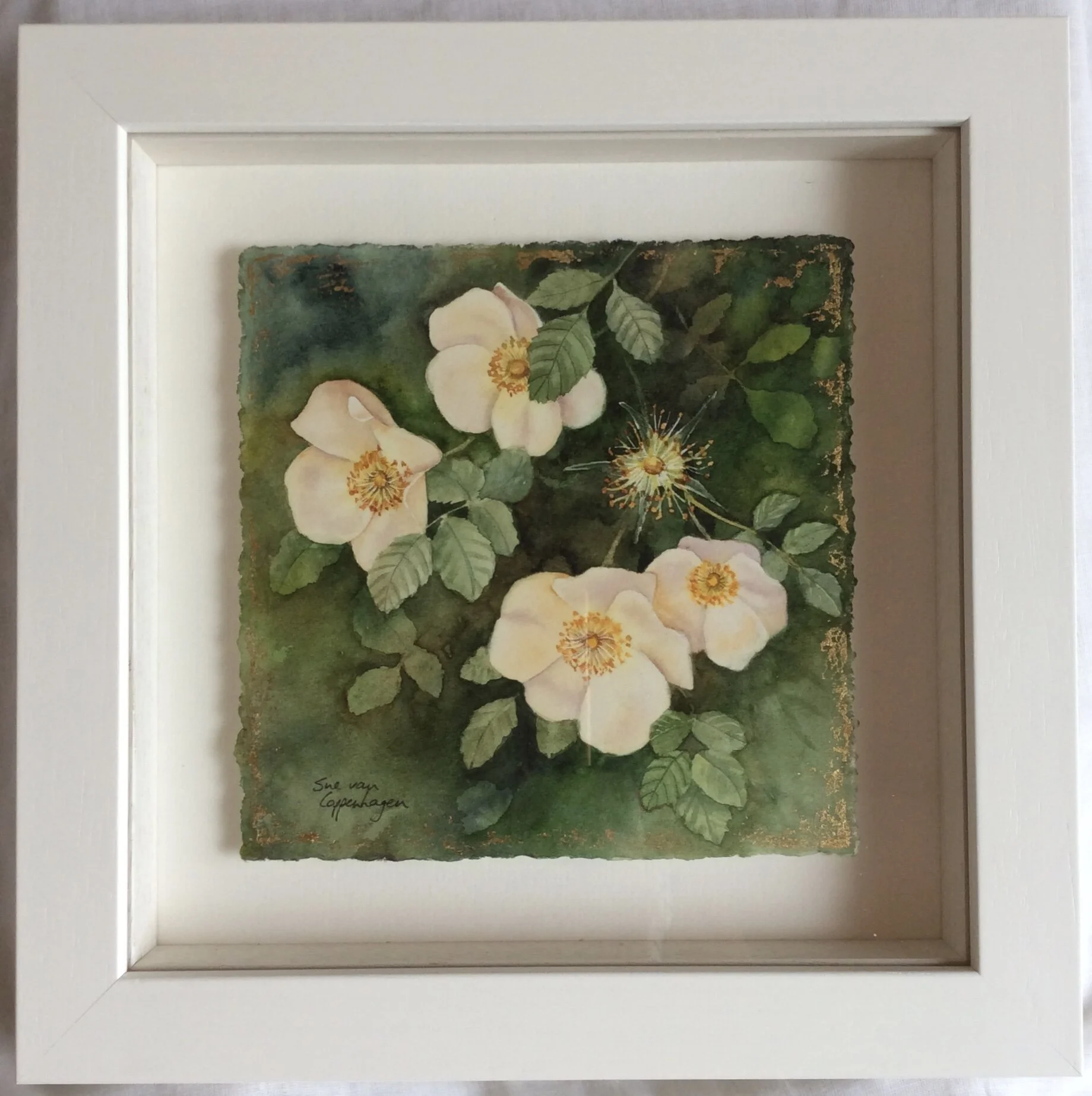 Dog roses painting framed