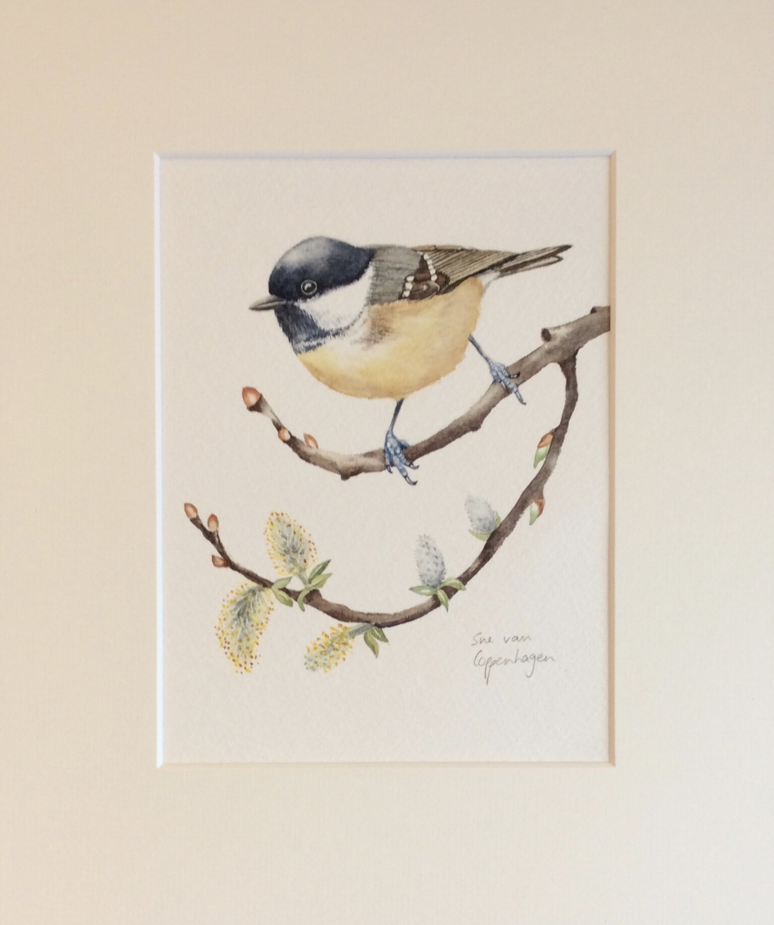 Coal tit painting mounted