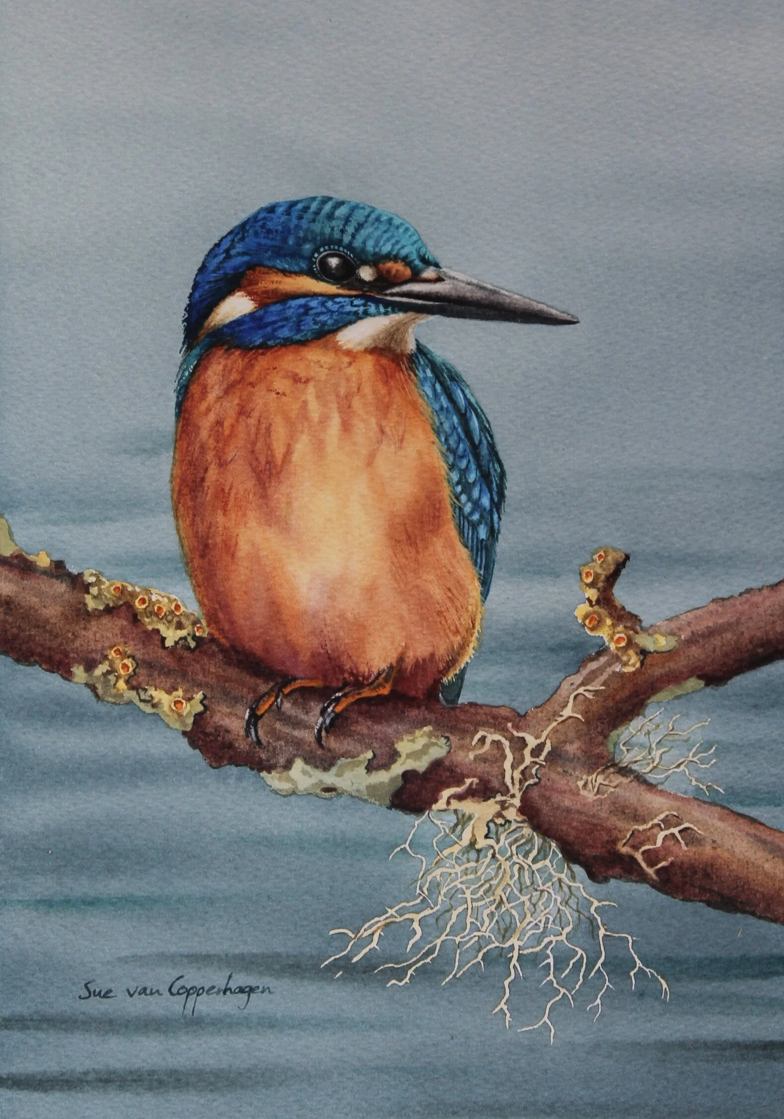 Kingfisher print