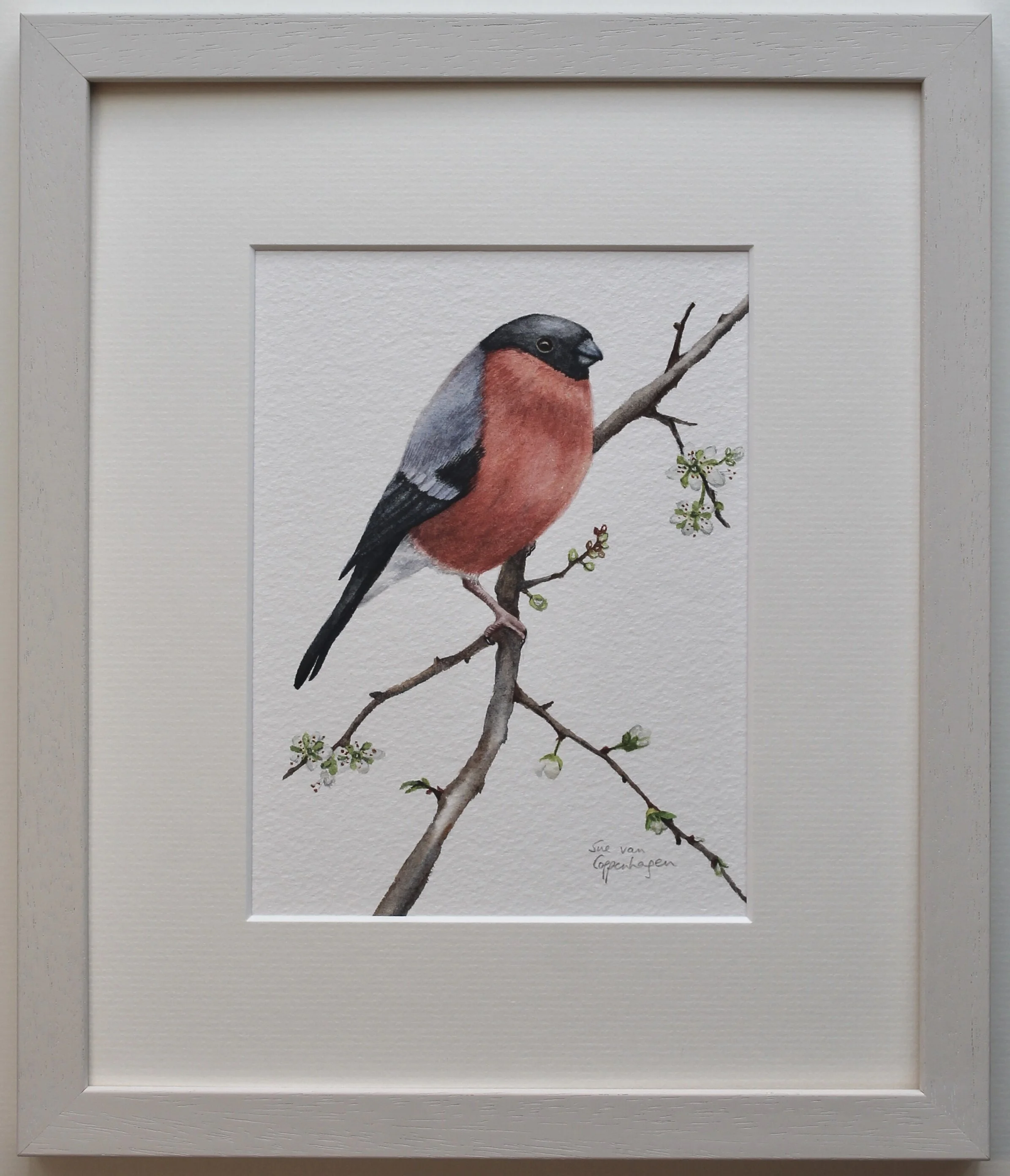 Bullfinch painting framed