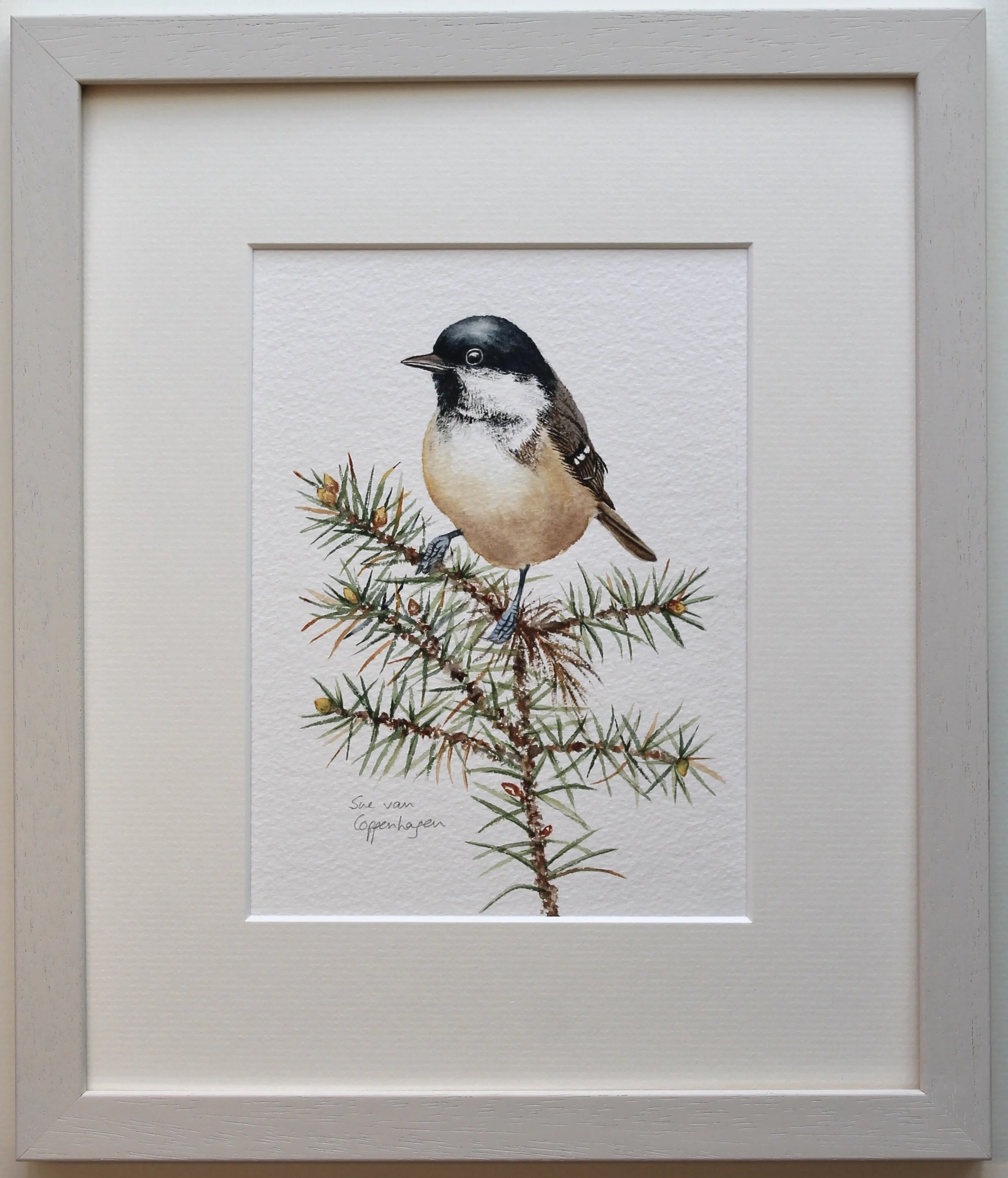 Coal tit painting framed