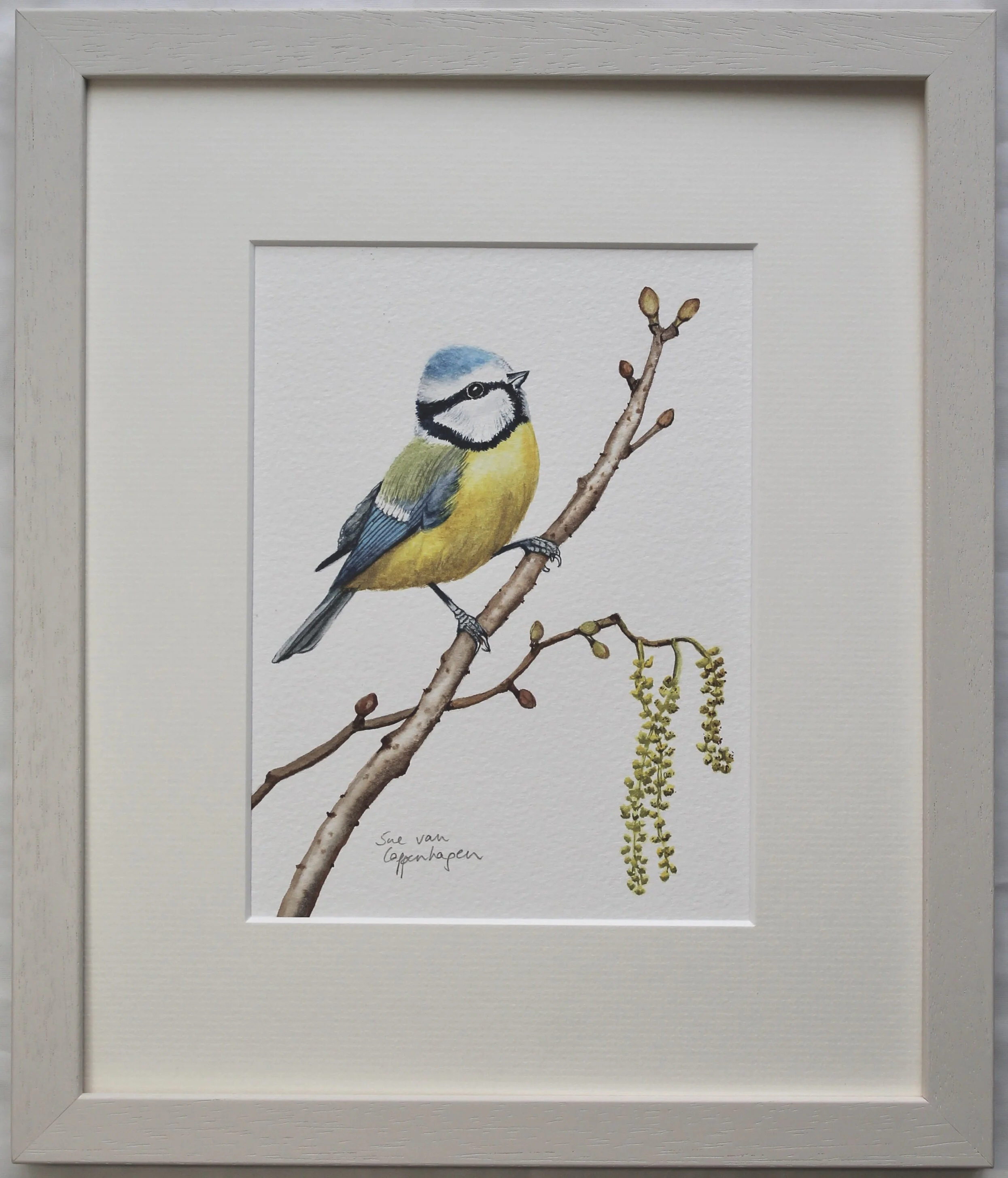 Blue tit alder painting framed