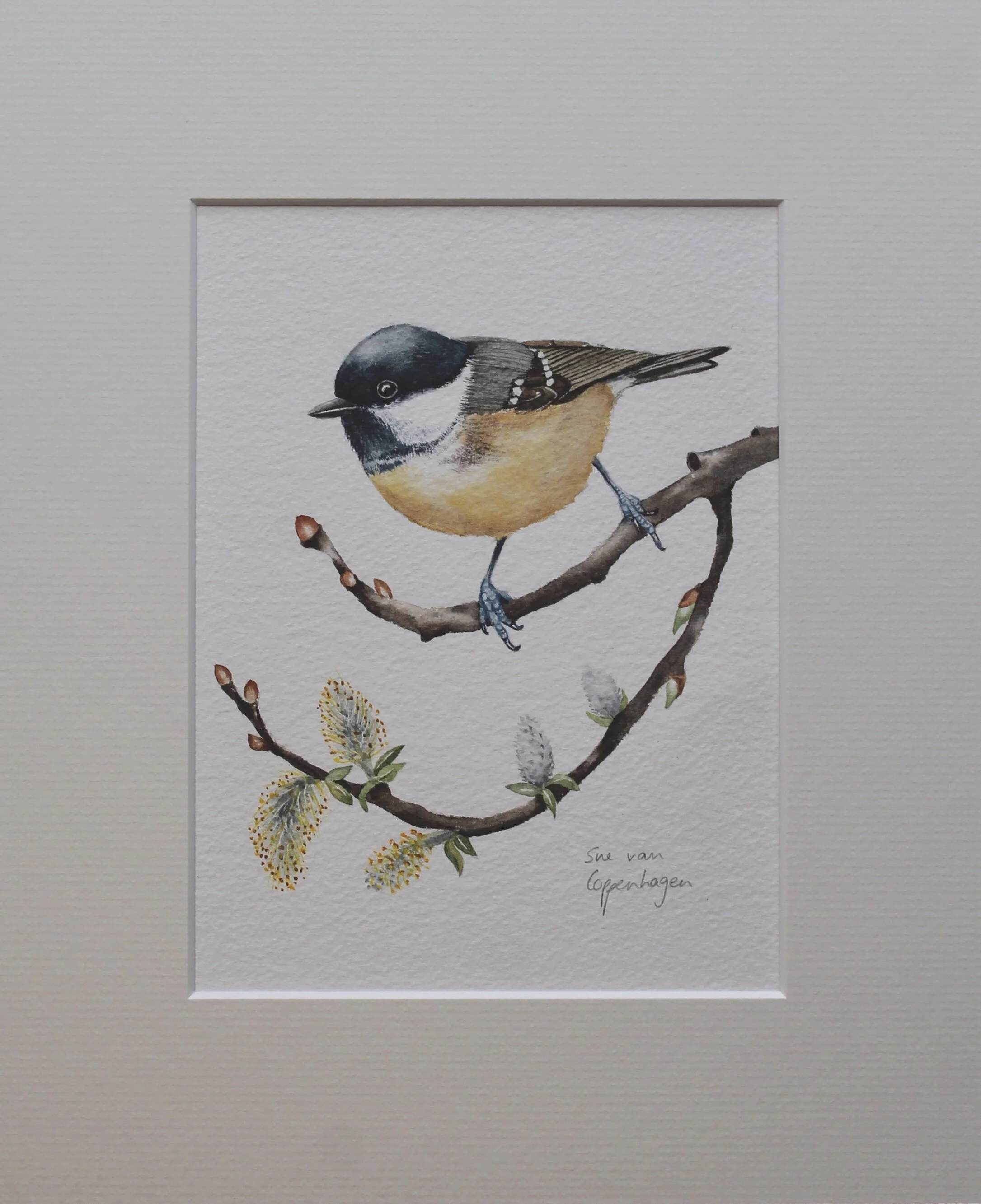 Coal tit painting mounted