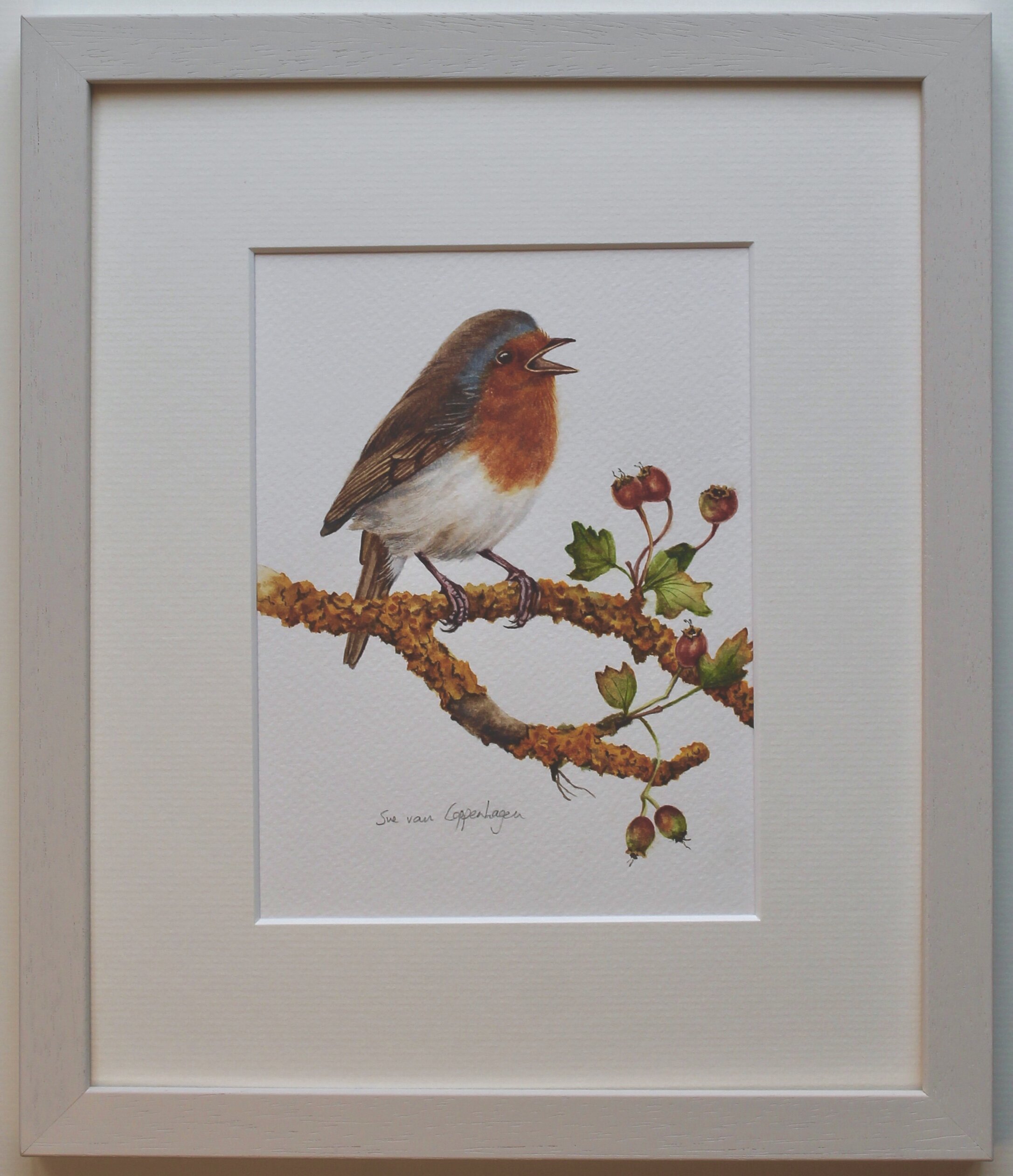 Singing robin painting framed