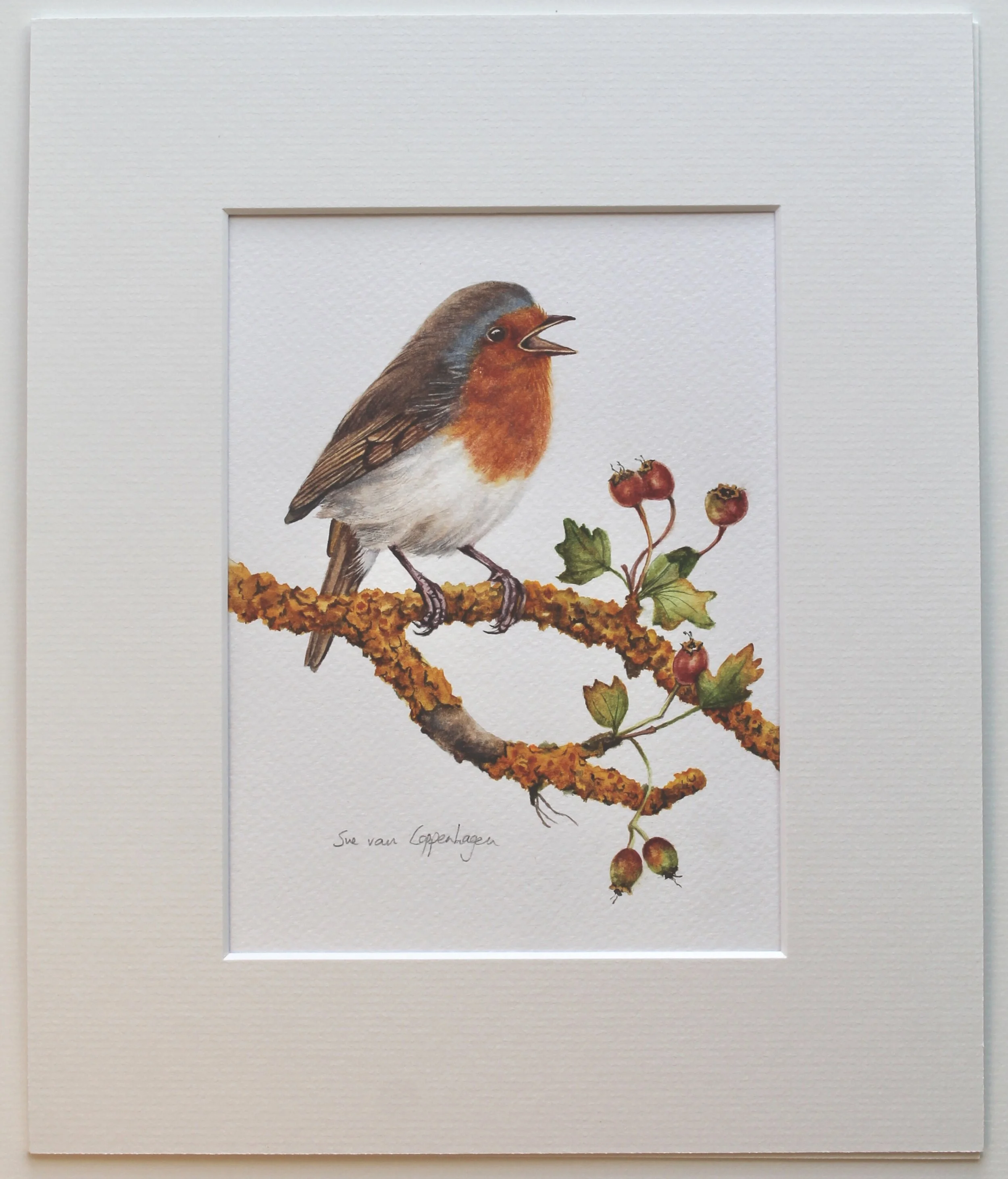 Singing robin painting mounted