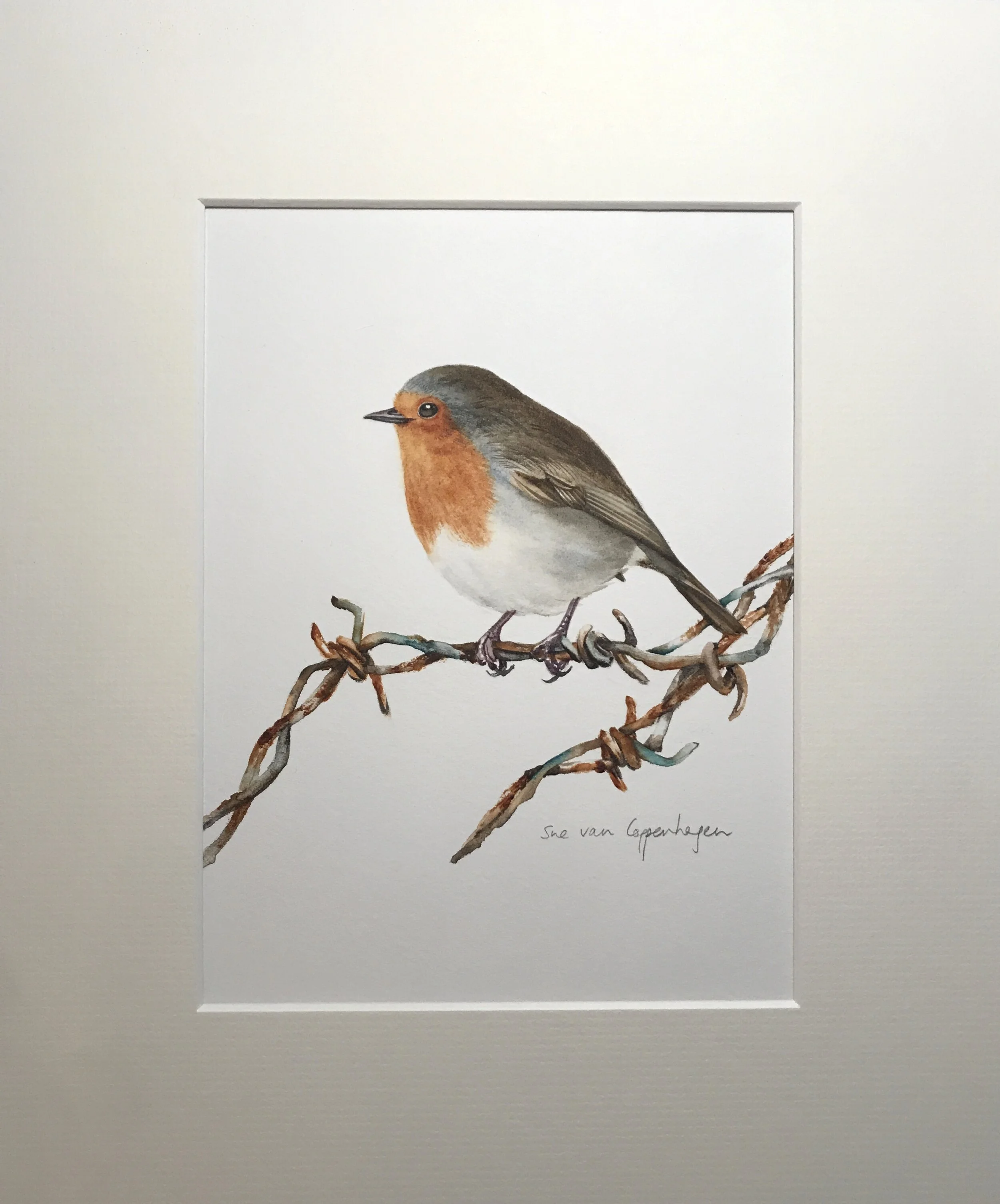 Watercolour painting of a European robin in a textured ivory mount