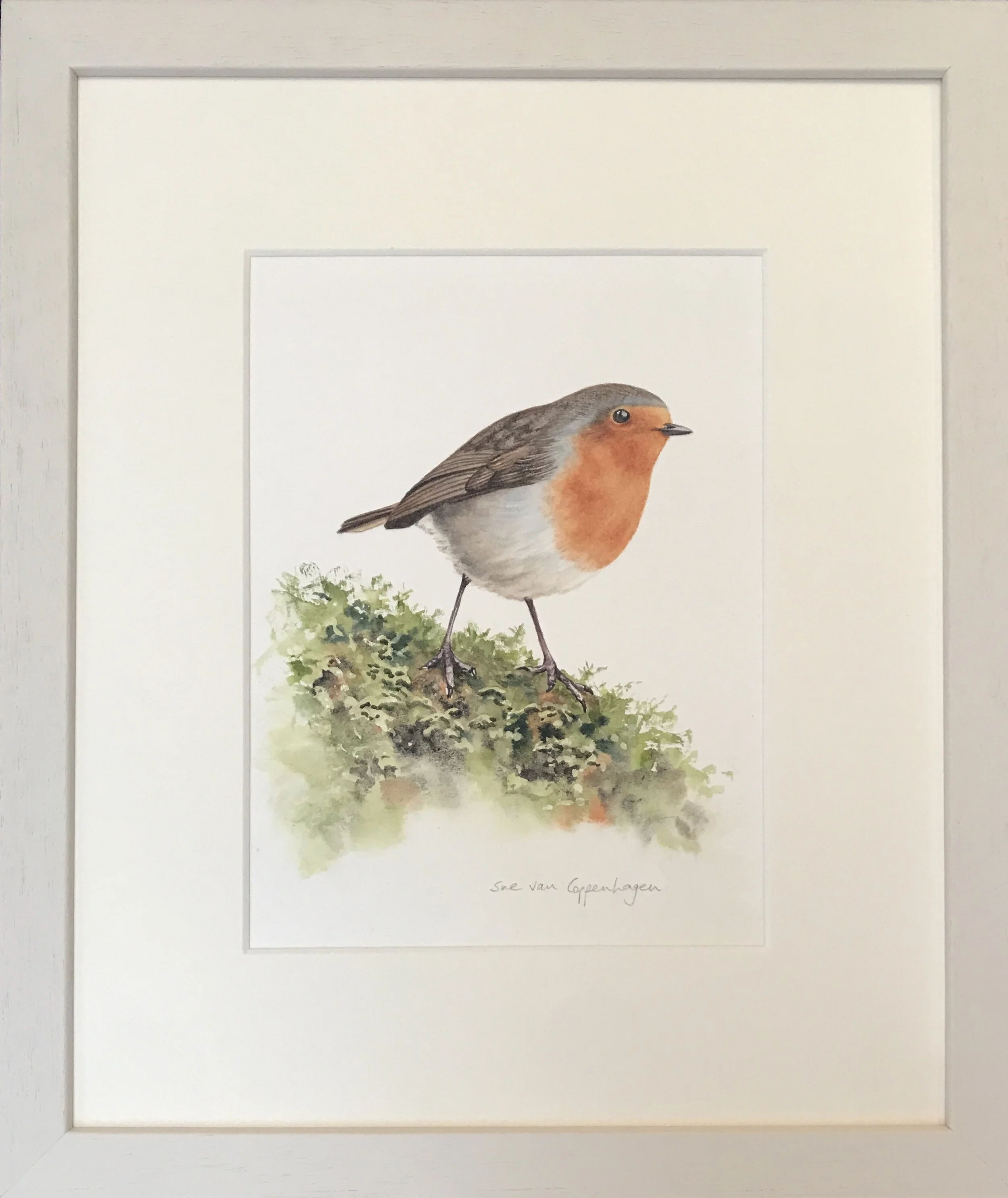 Robin painting framed