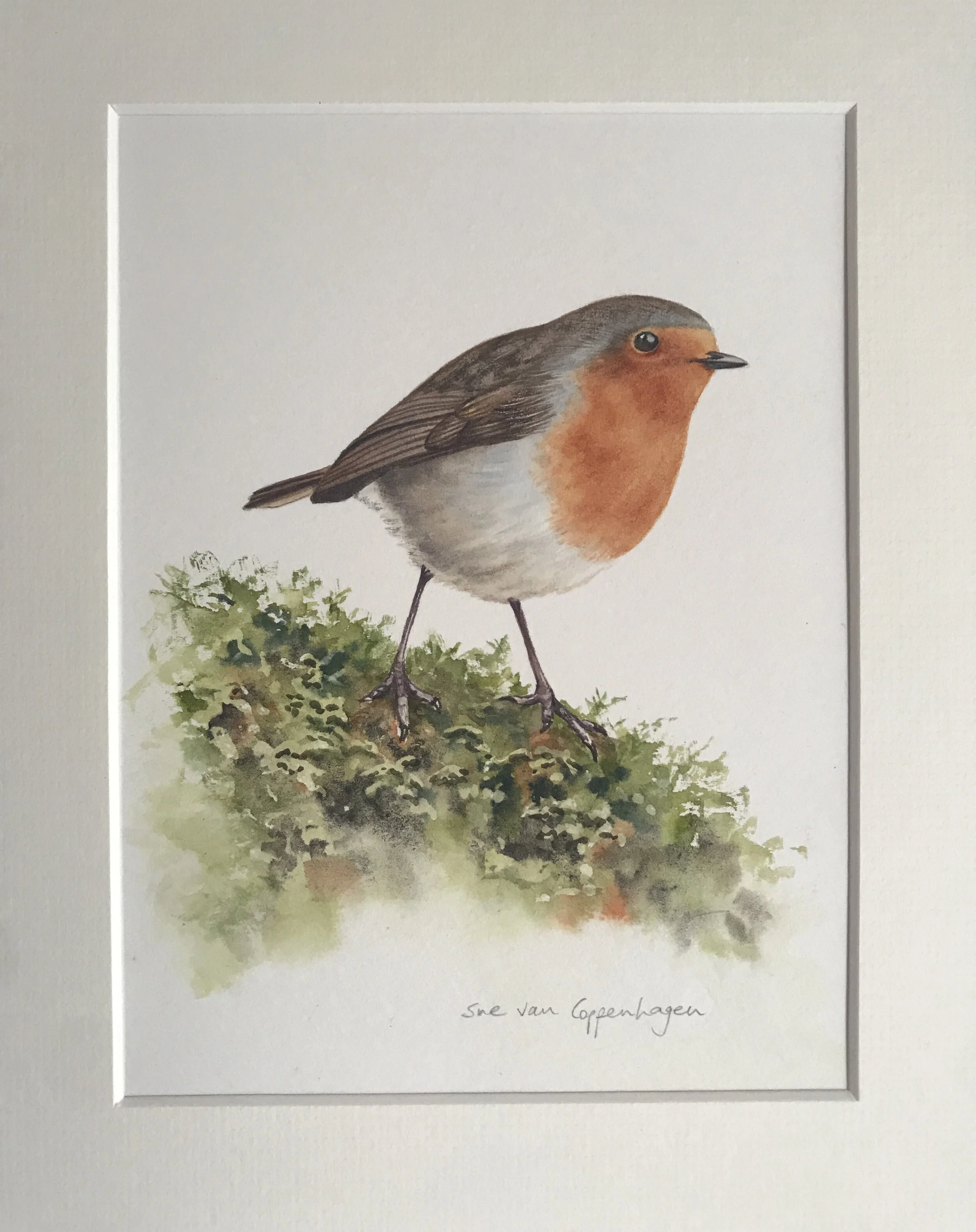 Robin painting mounted