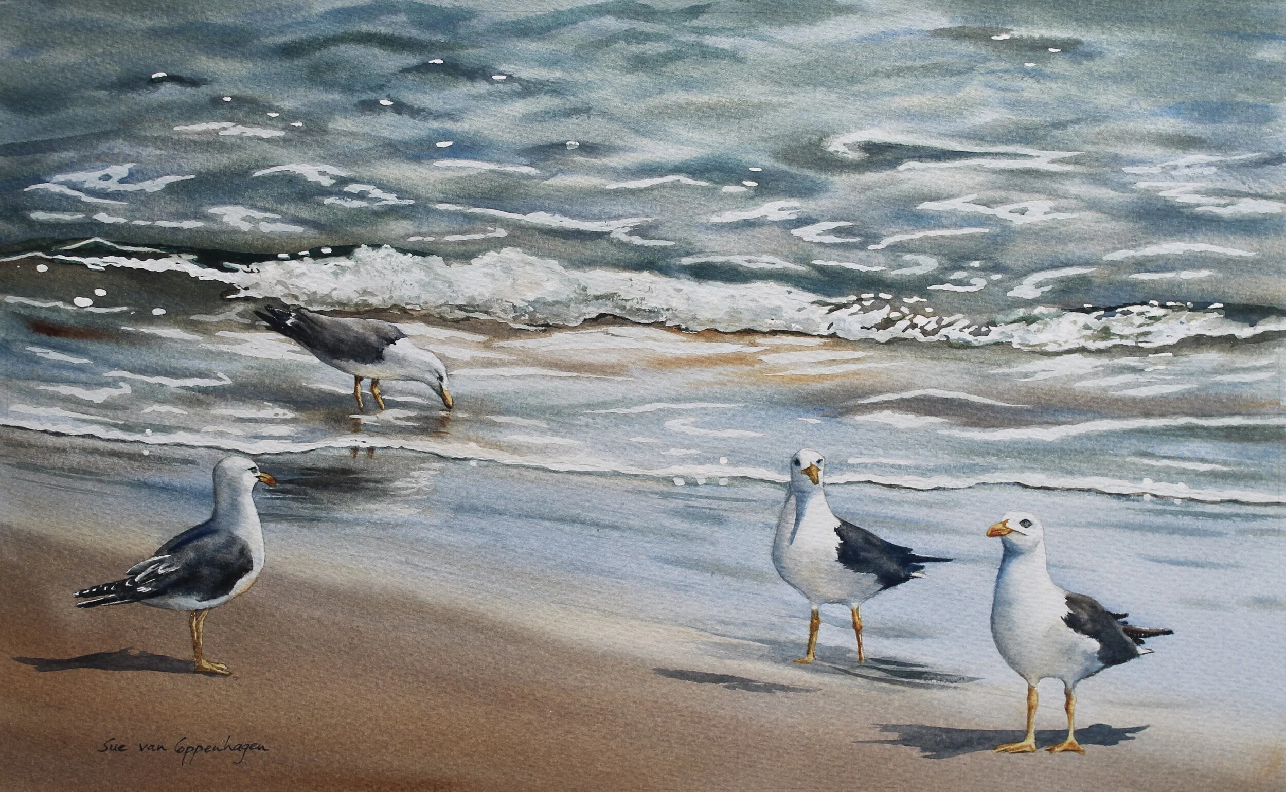 Gulls waves painting