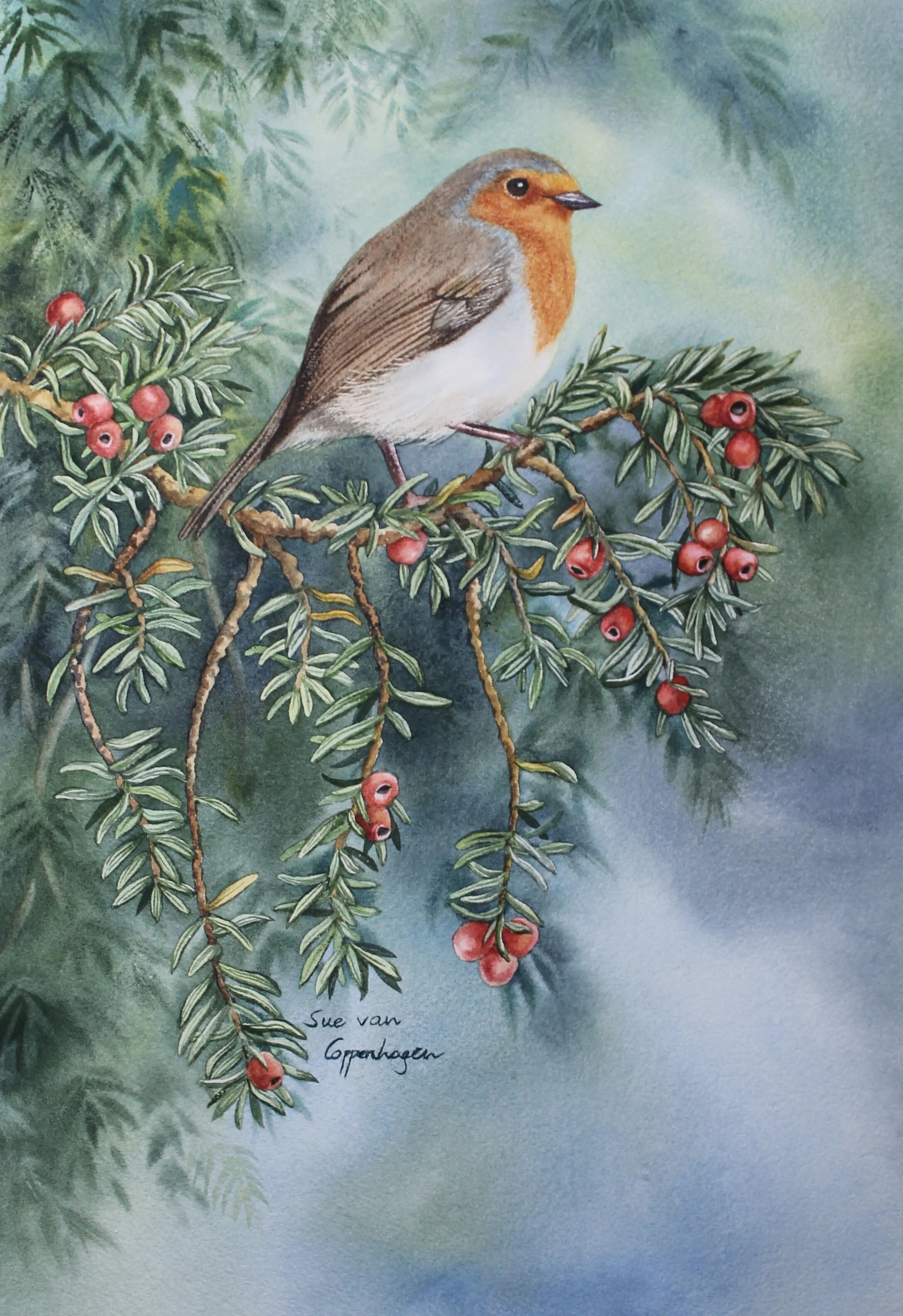 Robin yew tree painting