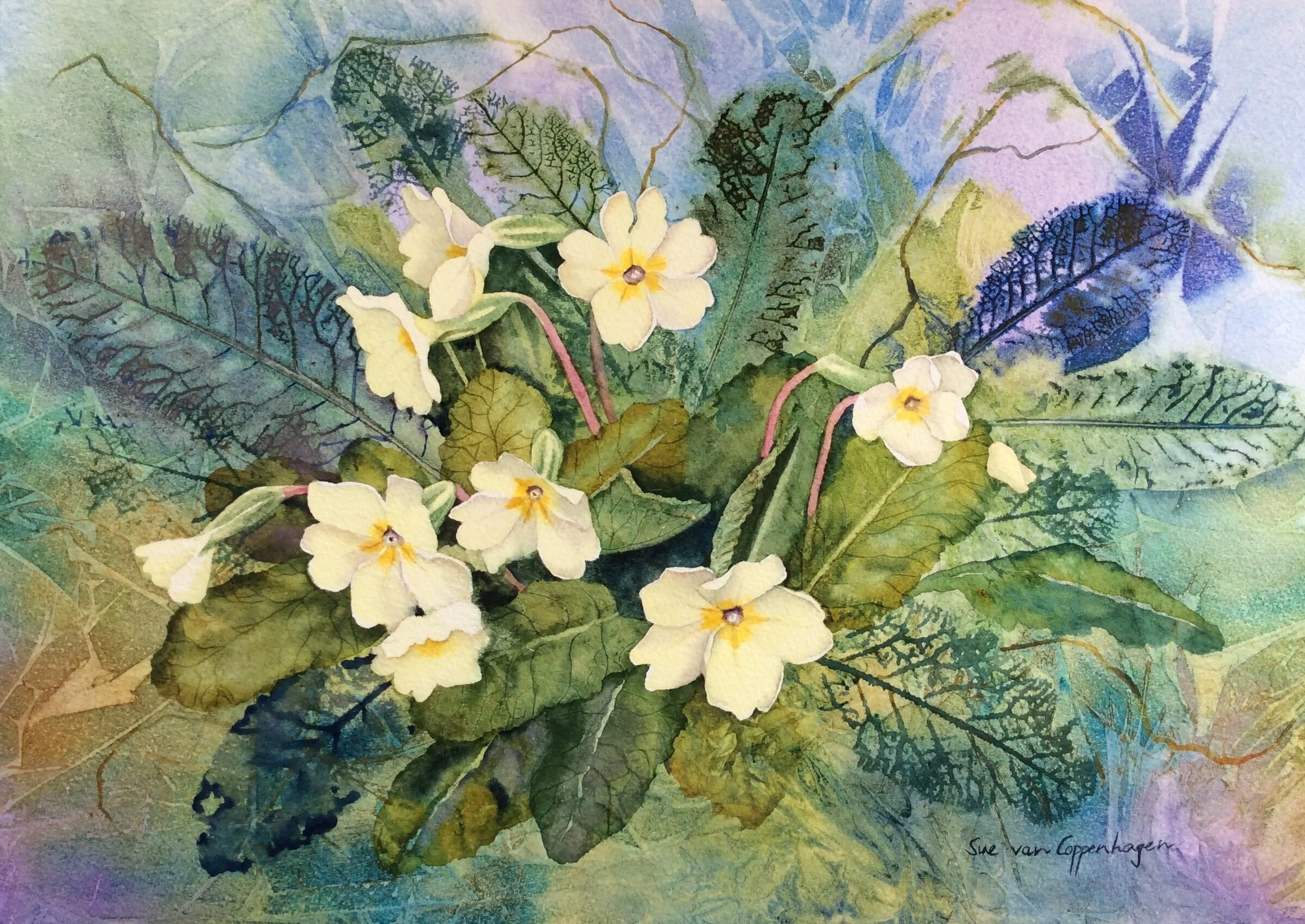 Watercolour painting by Sue van Coppenhagen of primrose flowers and textured leaves on a blue and purple background