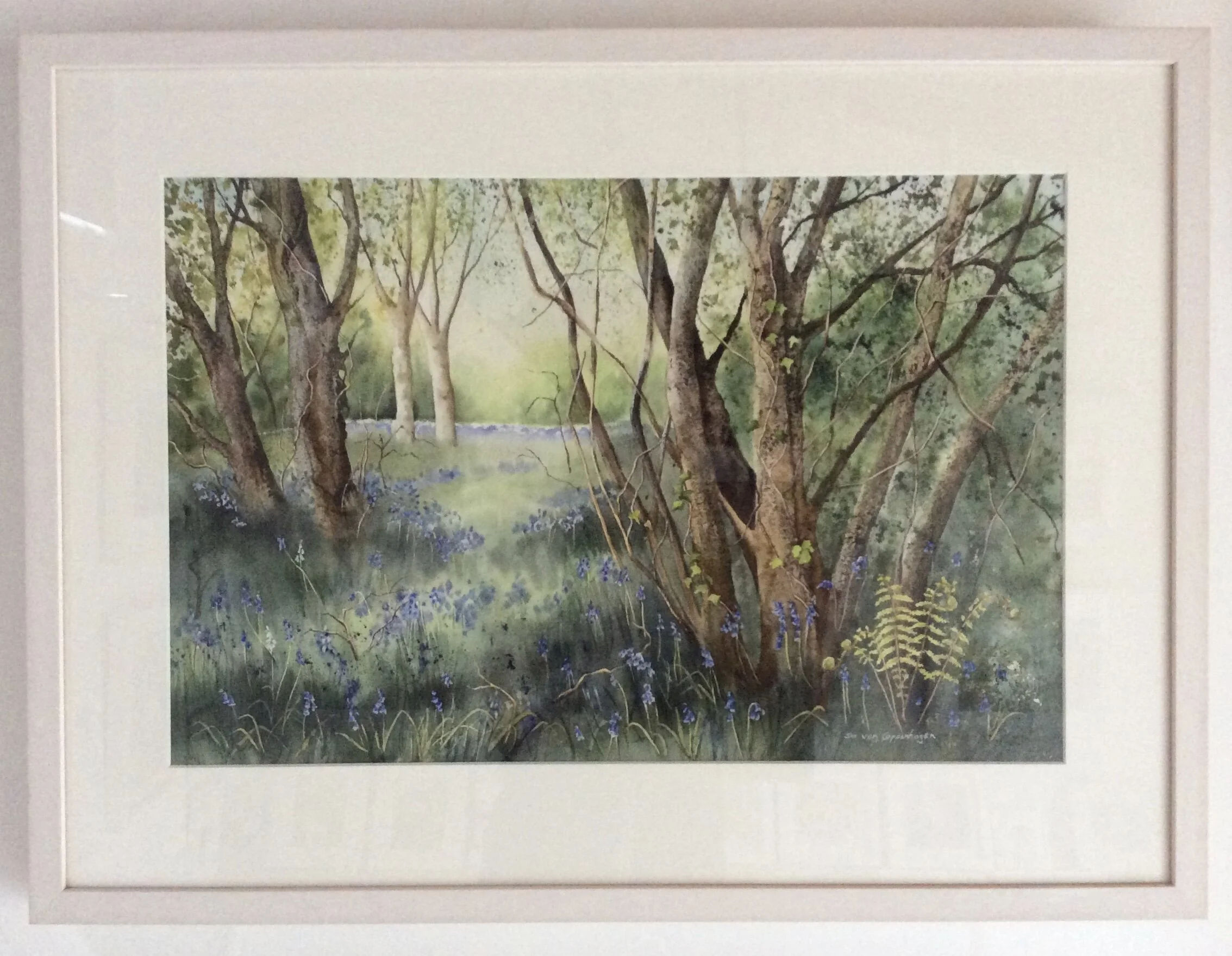 Bluebell woods painting framed