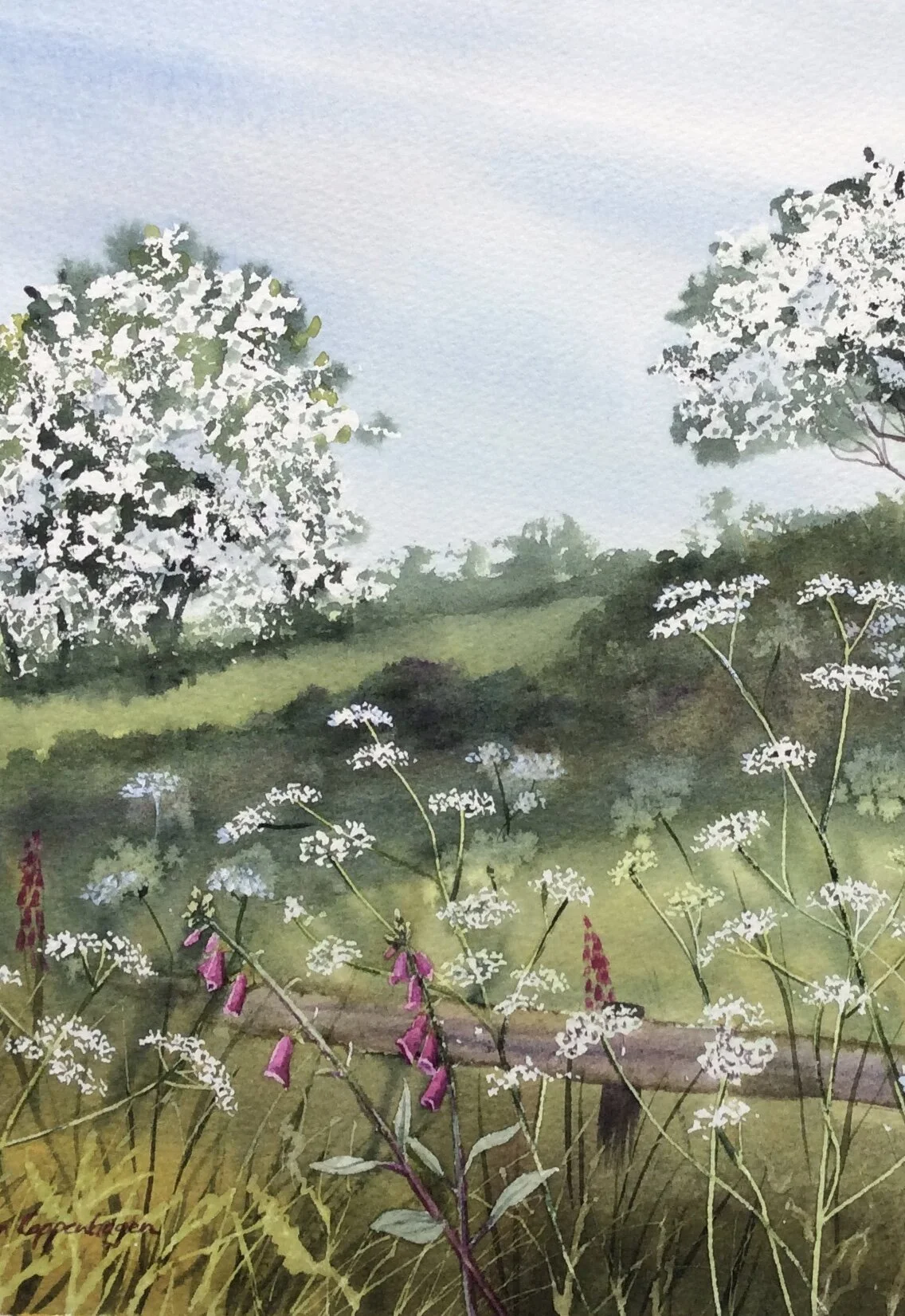 Detail of painting of an Irish field bordered by hawthorn trees foxgloves and hogweed detail