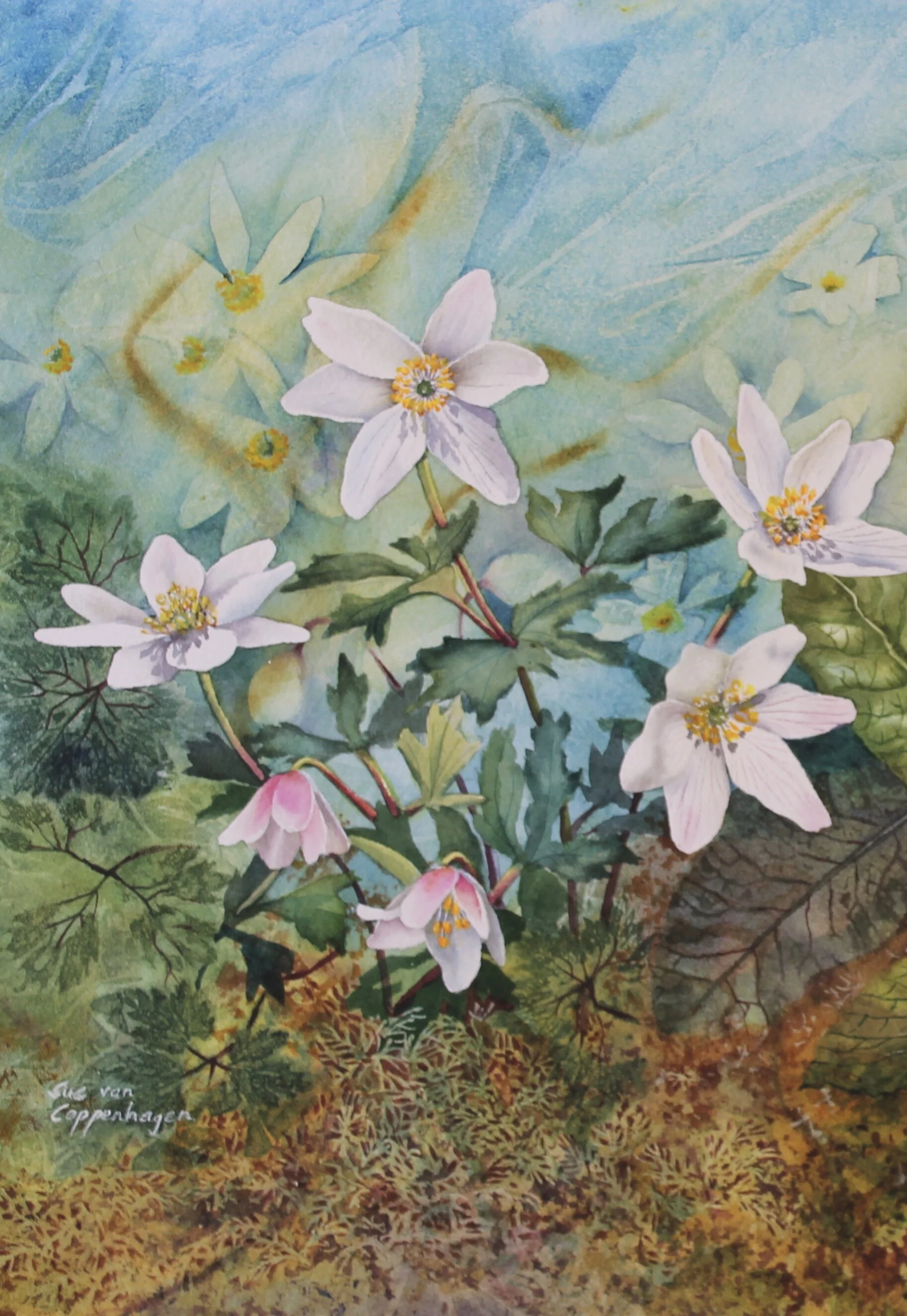 detail of watercolour painting of wood anemones and primroses painting detail