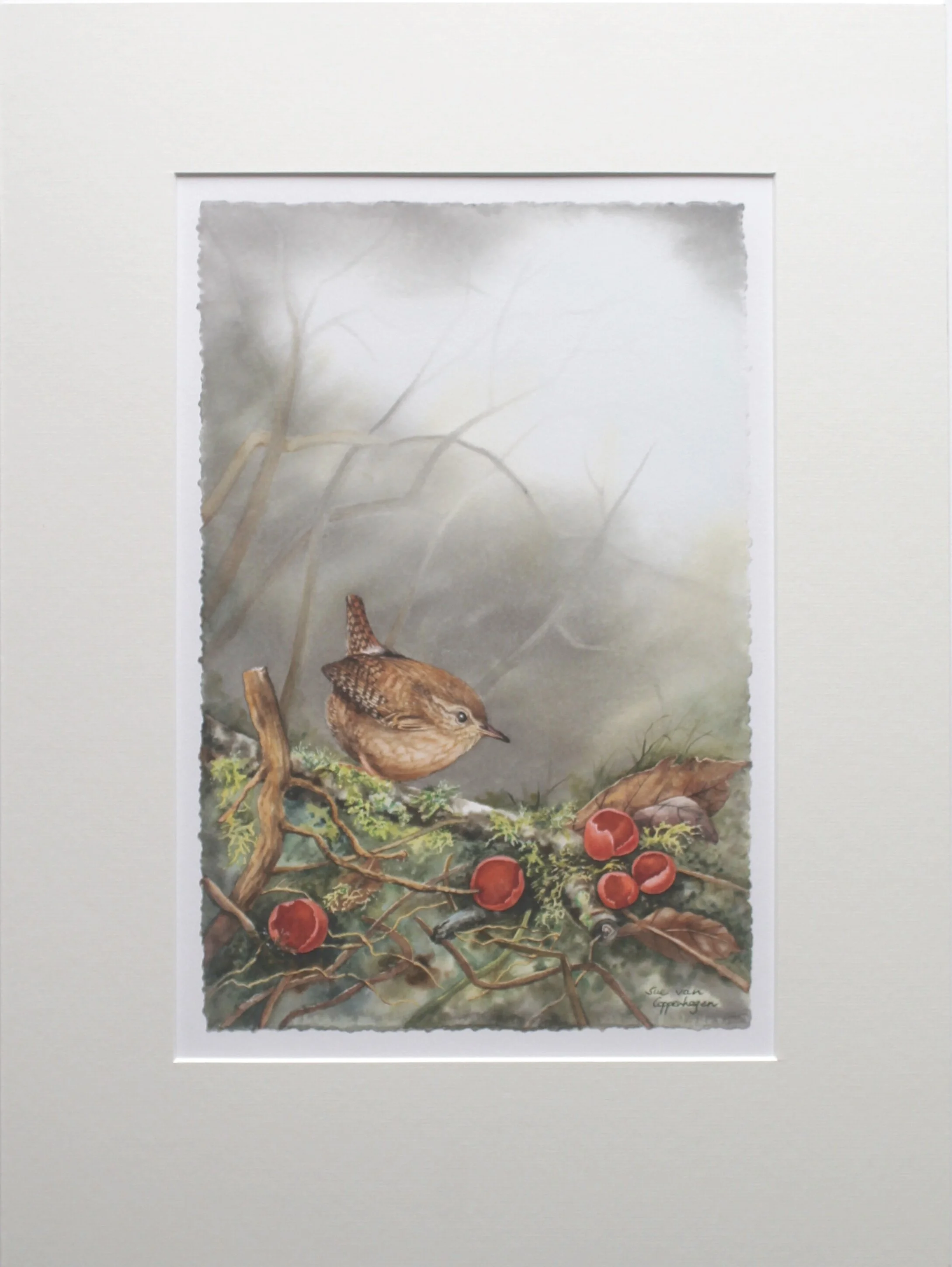 Wren Among the Elf Cups mounted print
