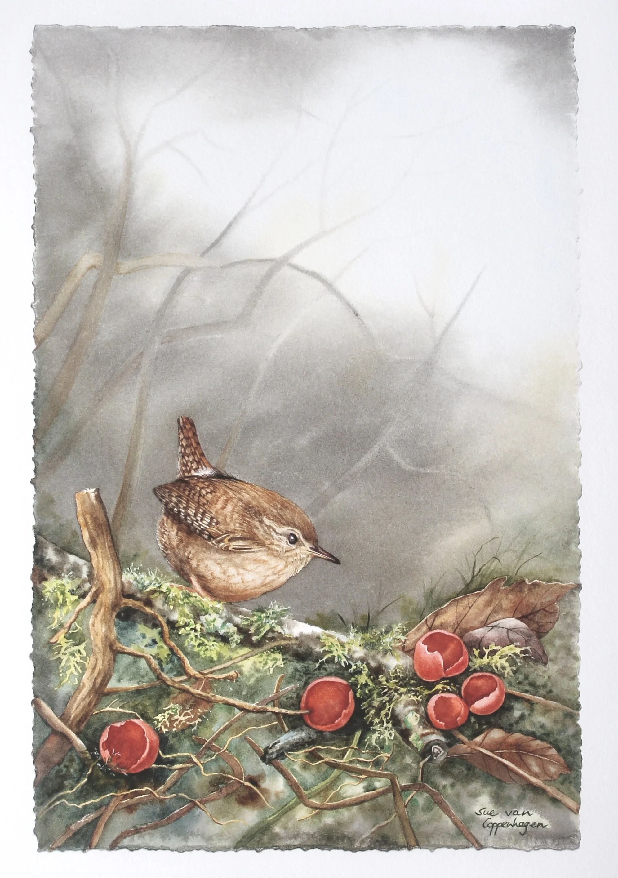 Wren Among the Elf Cups print