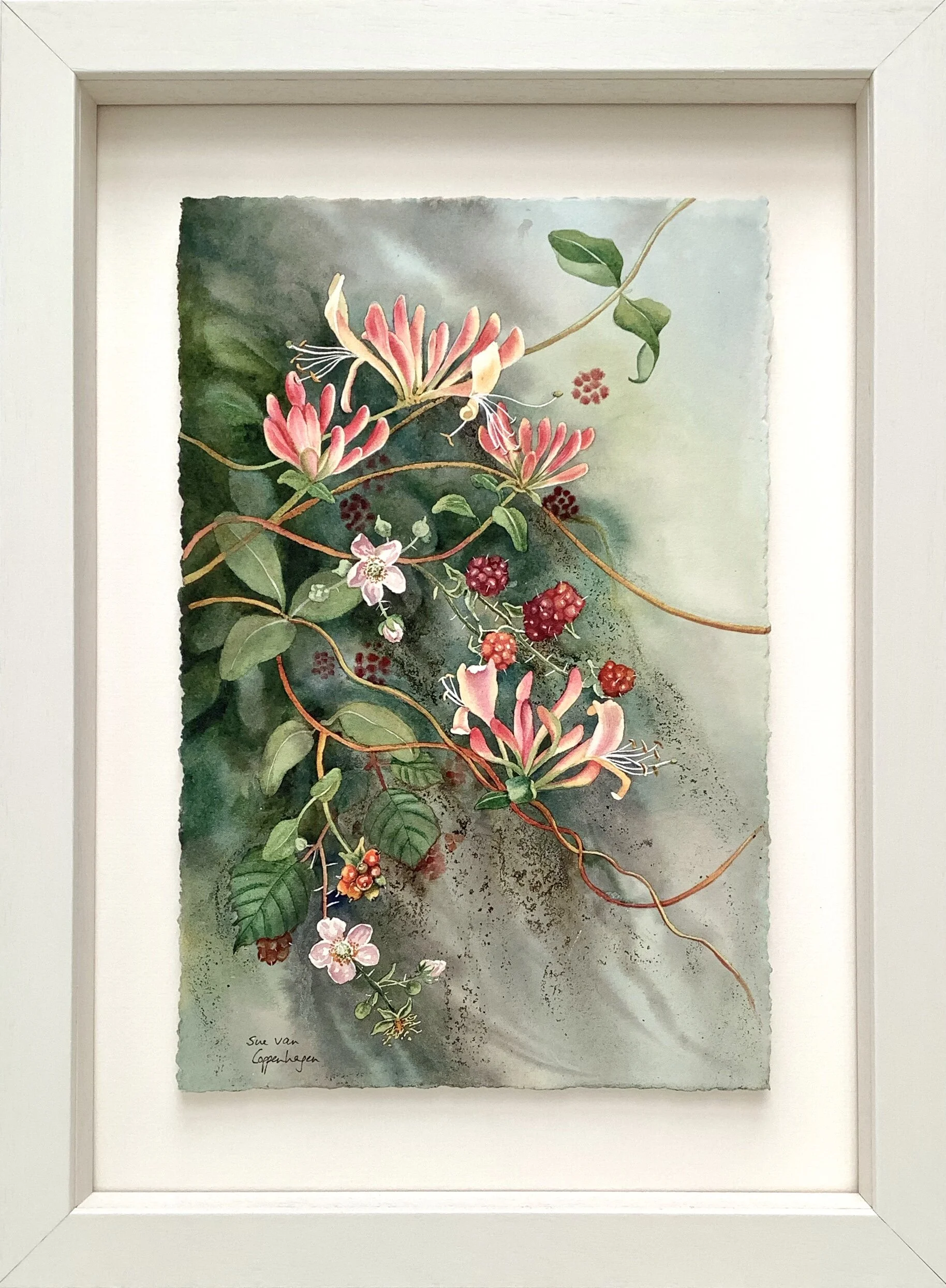 Honeysuckle and Brambles