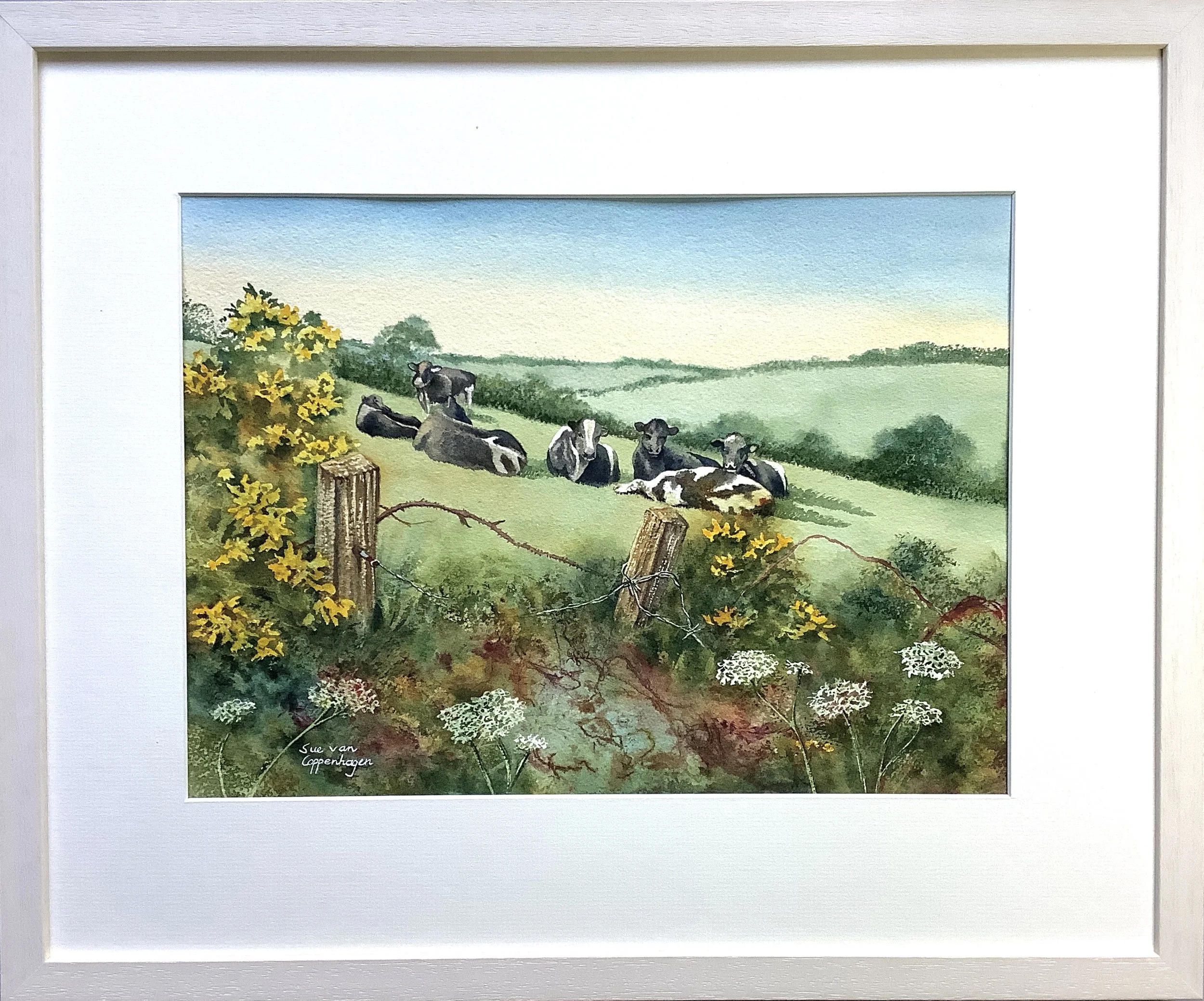 Framed watercolour painting of a rural landscape with cows on a hillside bordered with yellow gorse flowers