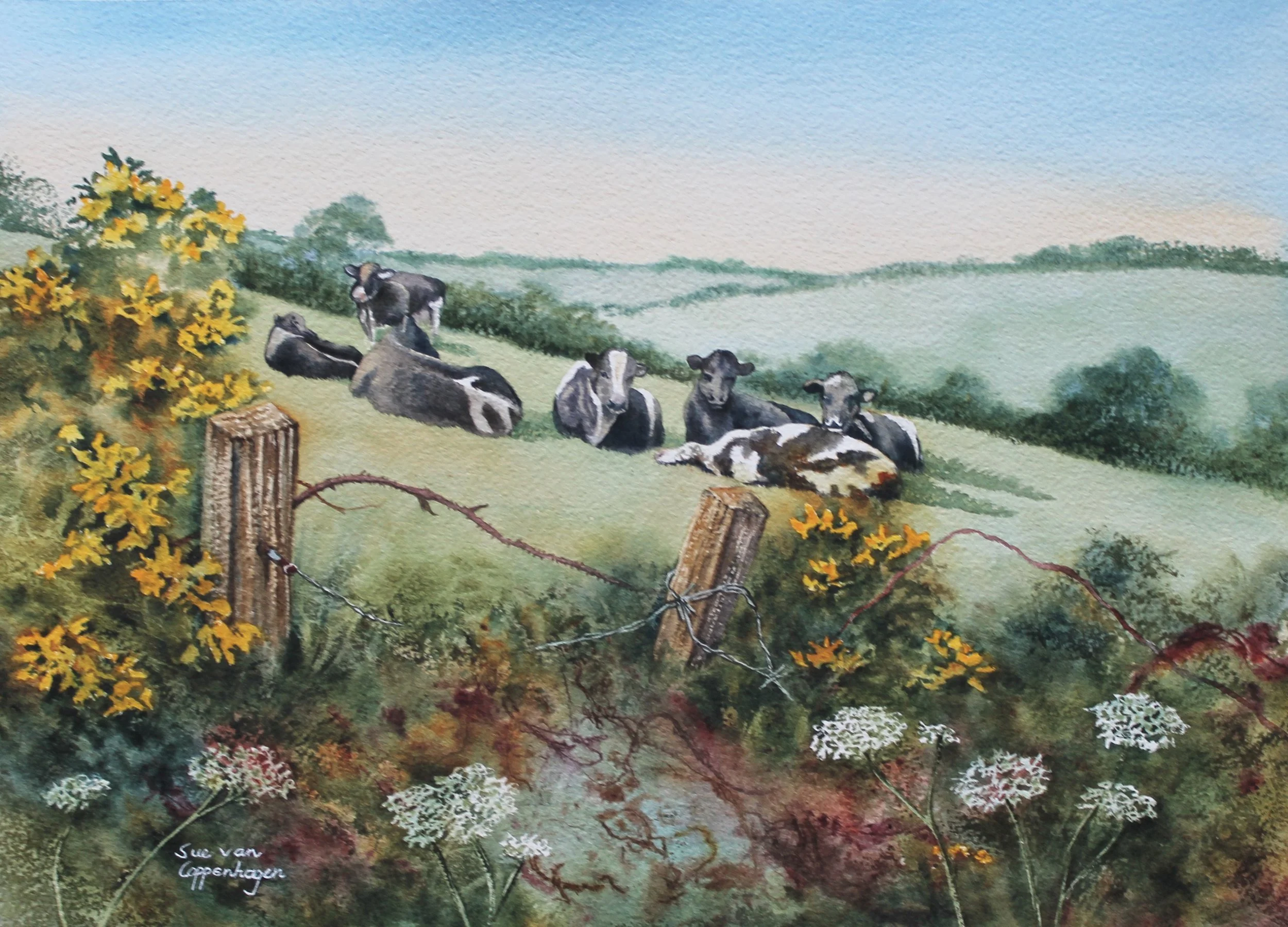 Watercolor painting of a landscape with cows resting on a hillside field bordered by yellow gorse flowers