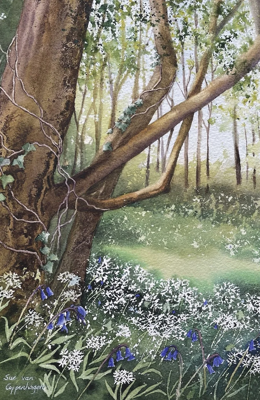Section of a watercolour painting by Sue van Coppenhagen of forest bluebells and white wild garlic flowers