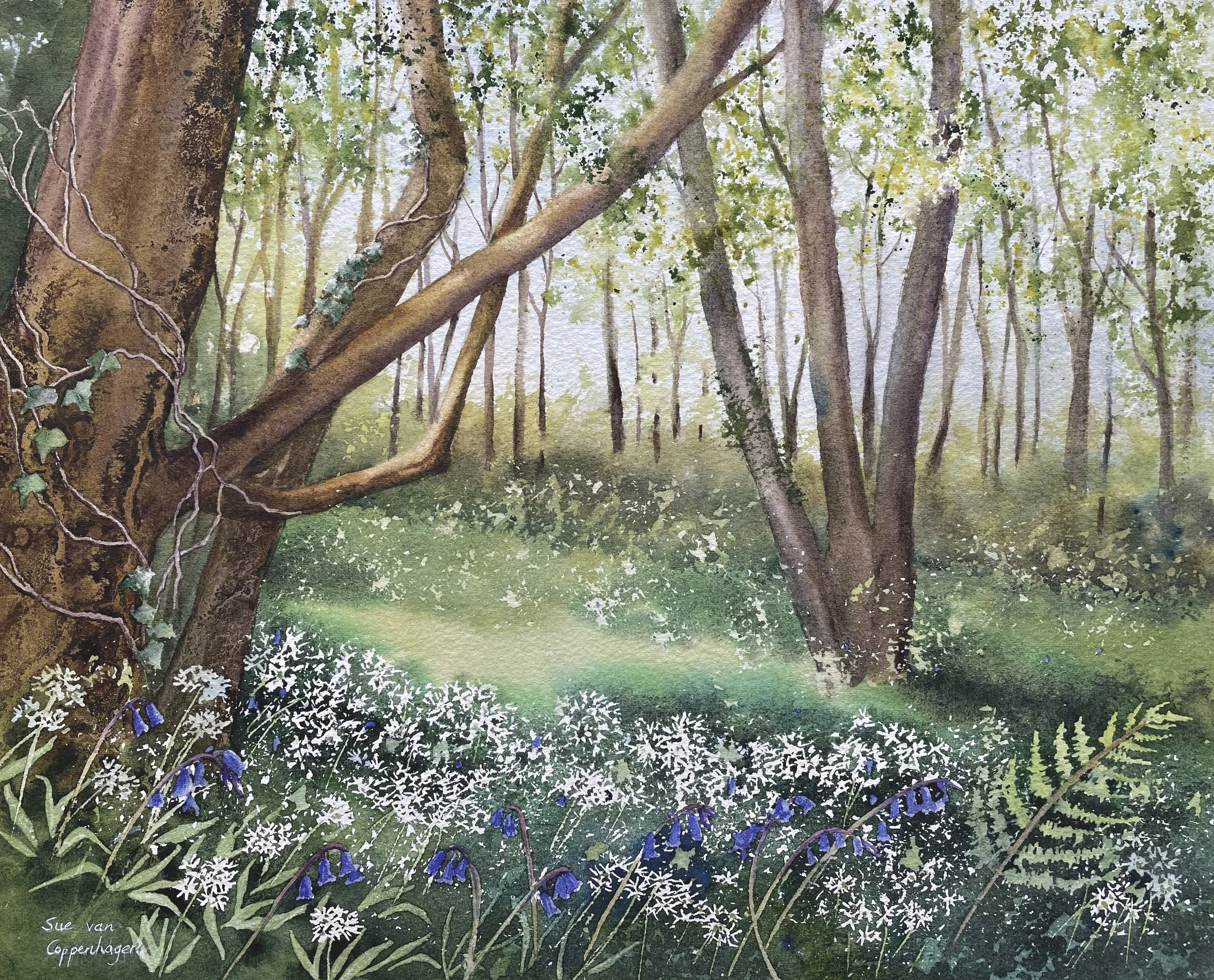Woodland landscape painting by Sue van Coppenhagen of bluebells and white wild garlic flowers