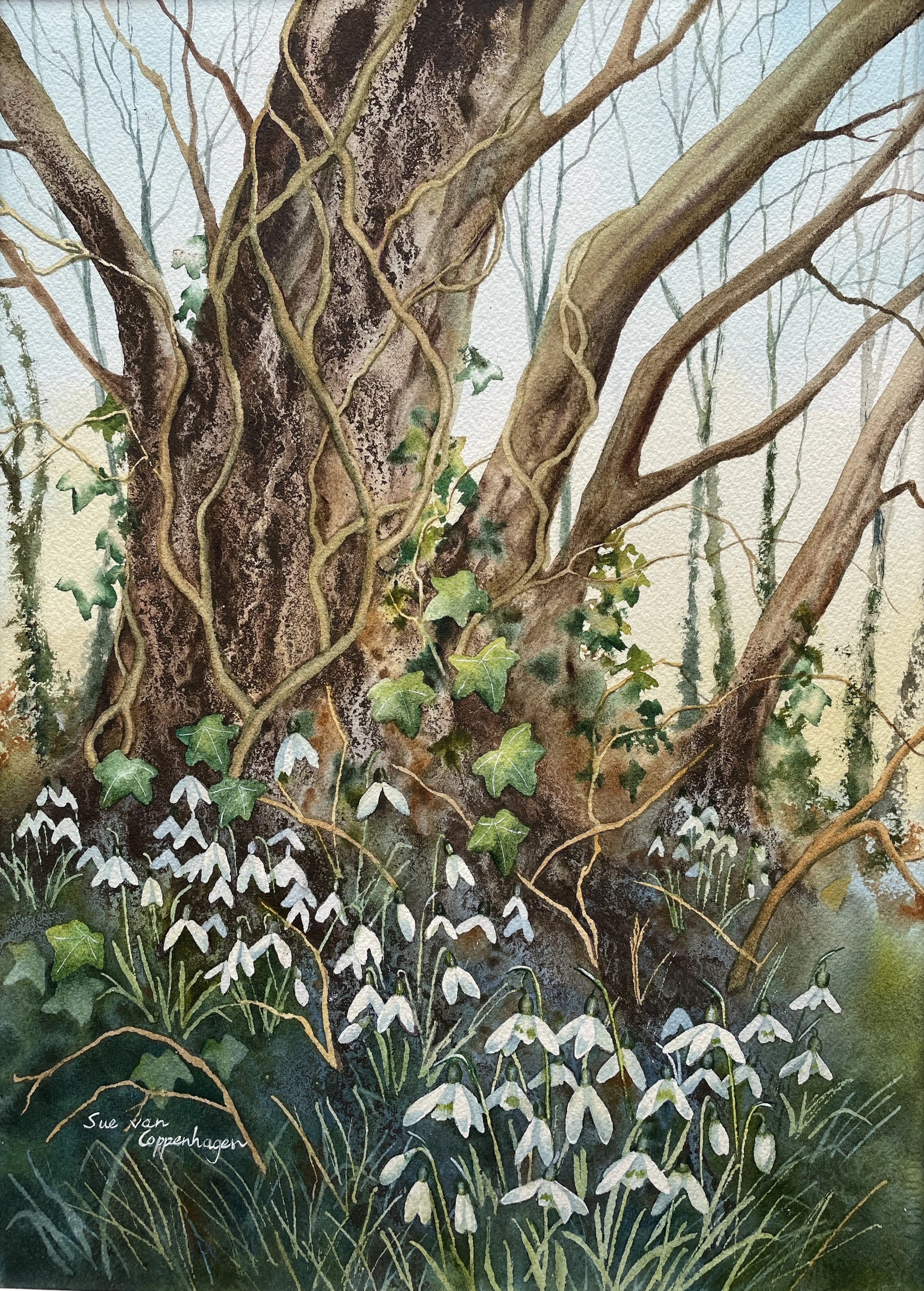 Painting of winter trees with ivy above a carpet of white snowdrop flowers
