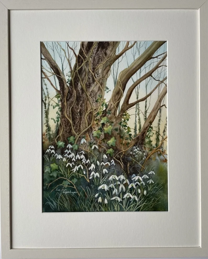 Framed painting of woodland snowdrops beneath winter trees